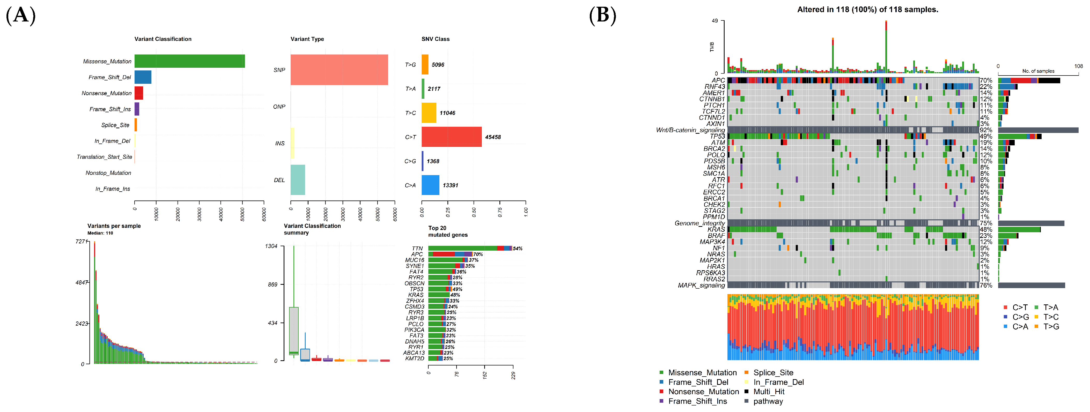 Cancers 15 04300 g001a