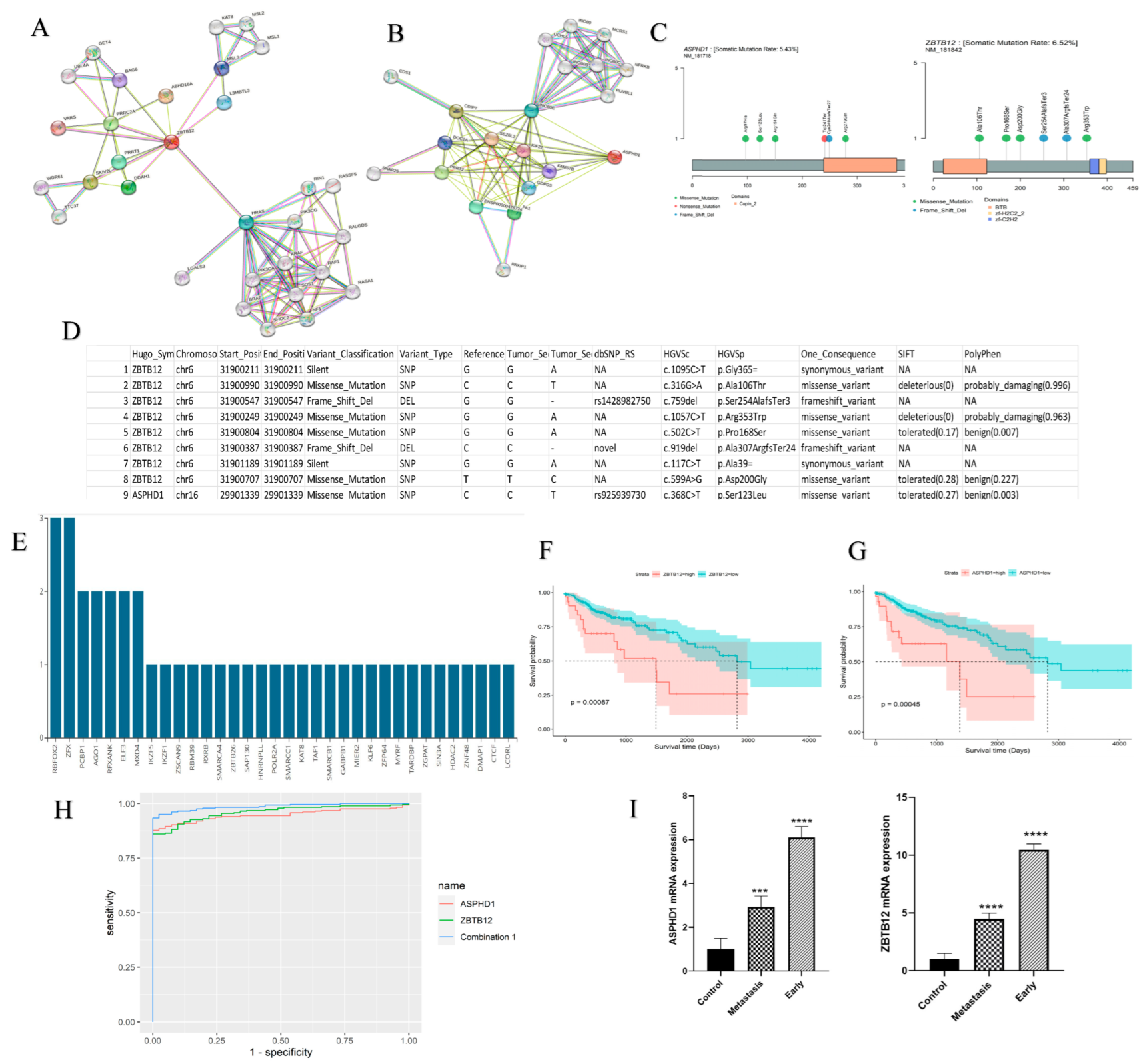 Cancers 15 04300 g006