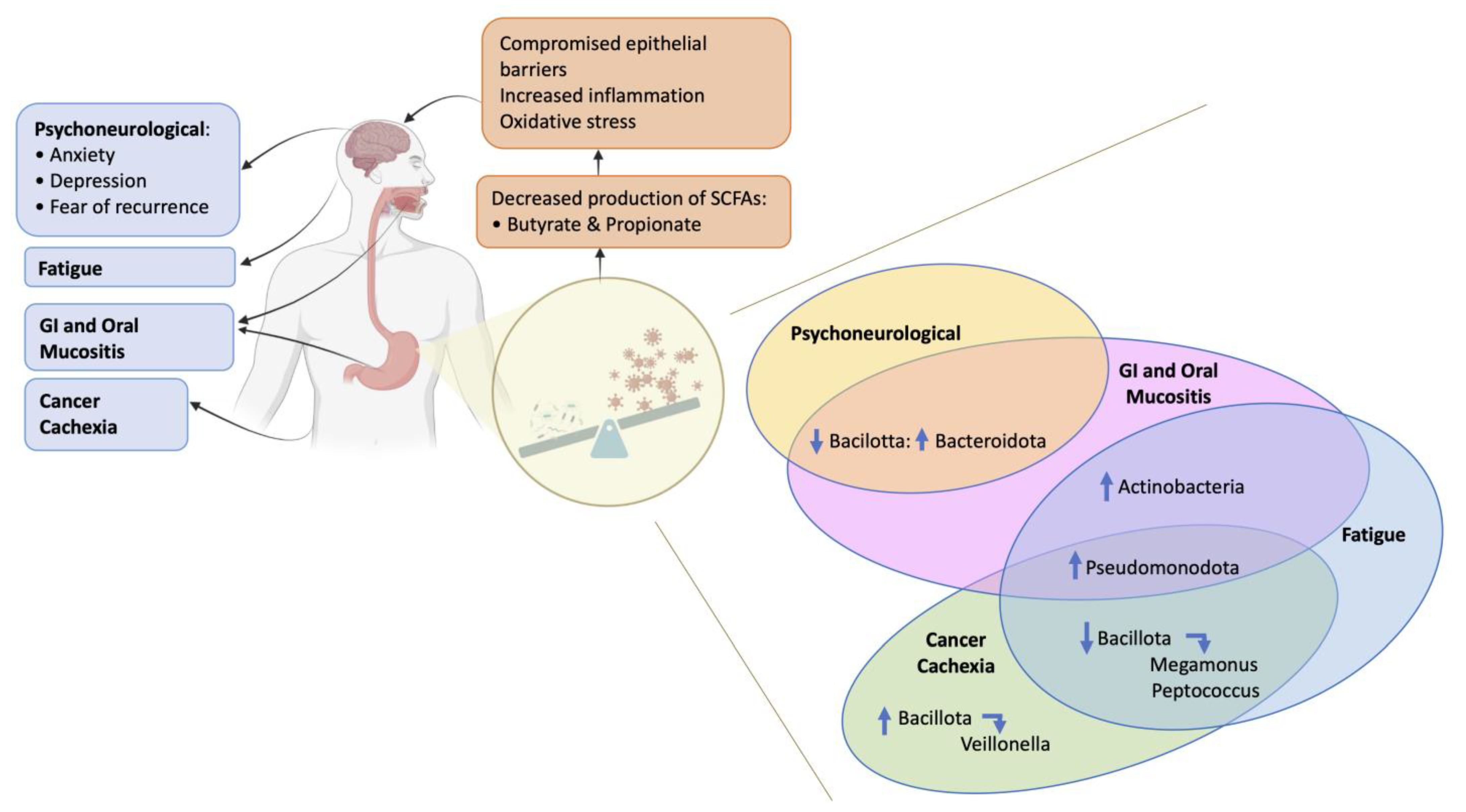 Cancers 15 04301 g001
