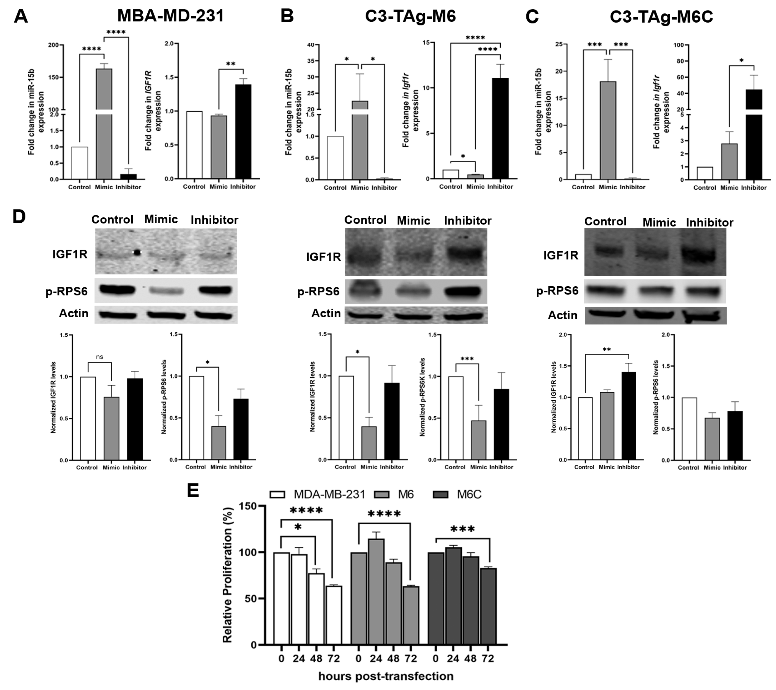 Cancers 15 04320 g004