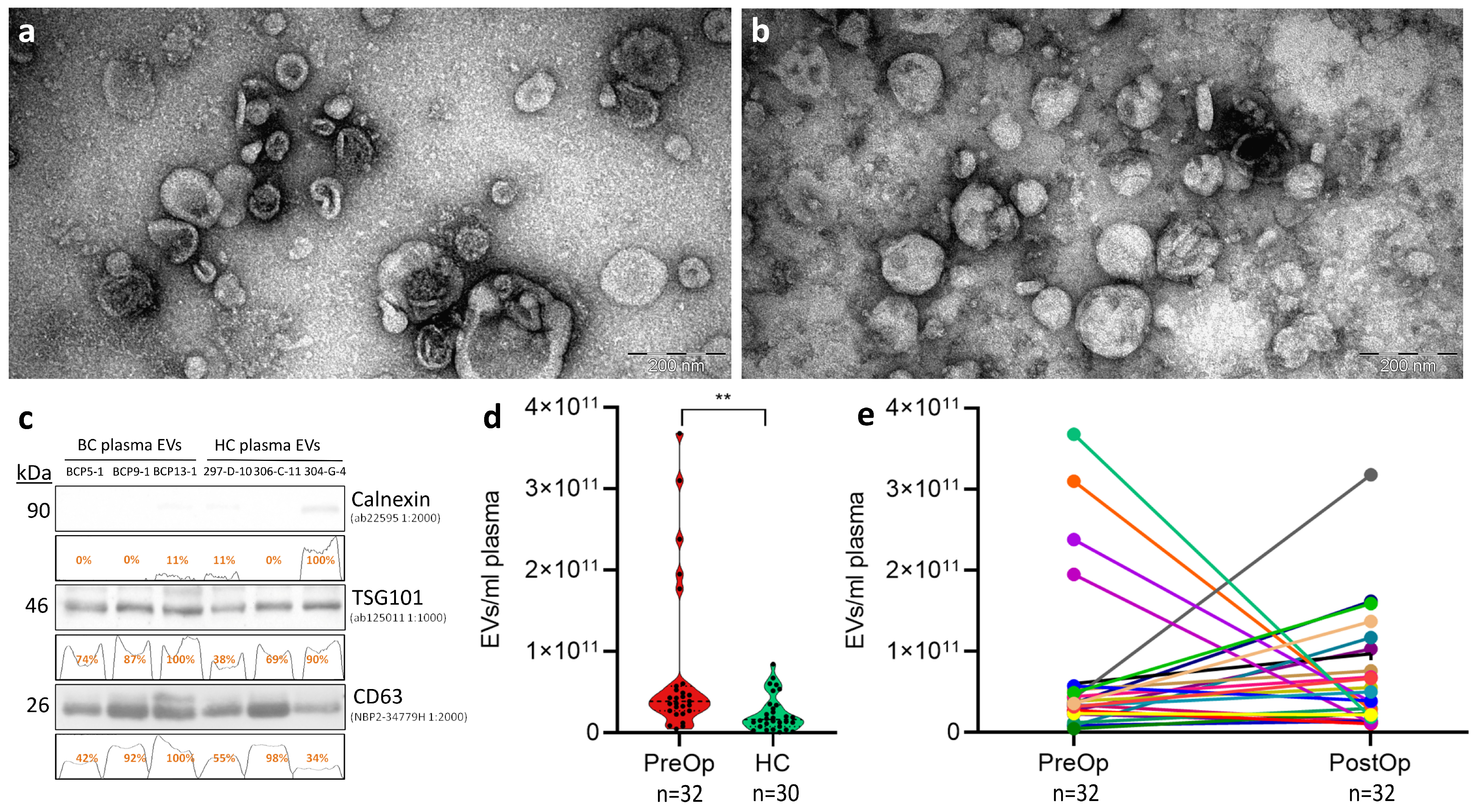 Cancers 15 04329 g001