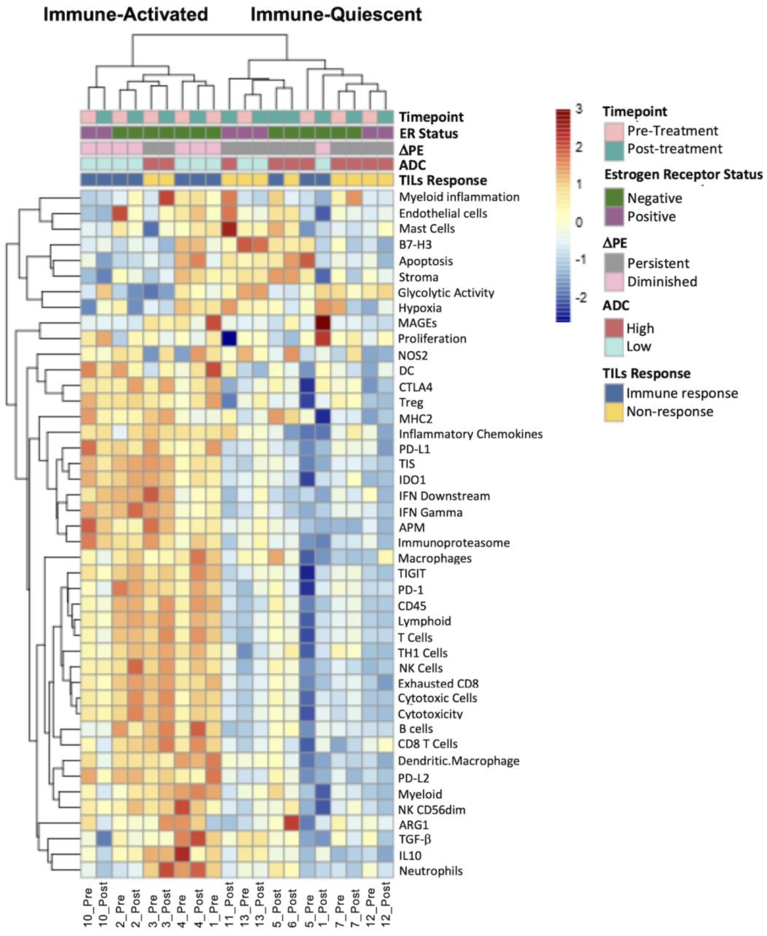 Cancers 15 04337 g004 Cancers 15 04337 g004