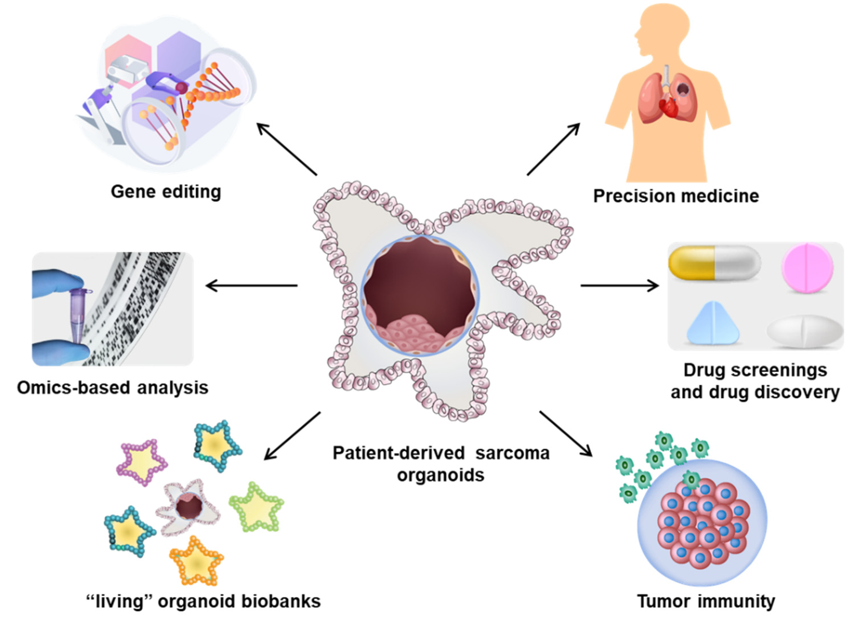 Cancers 15 04339 g006