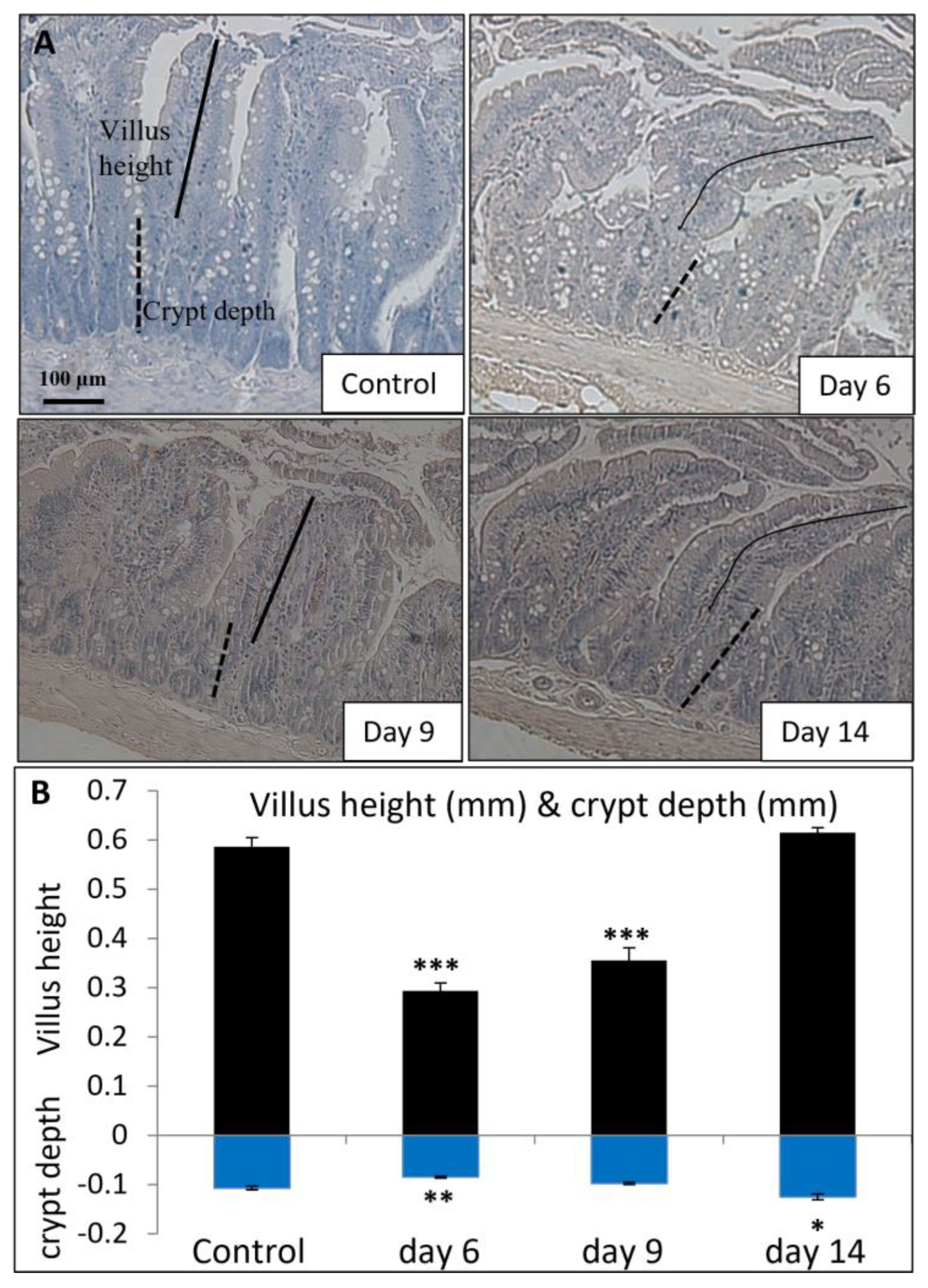 Cancers 15 04367 g005 Cancers 15 04367 g005