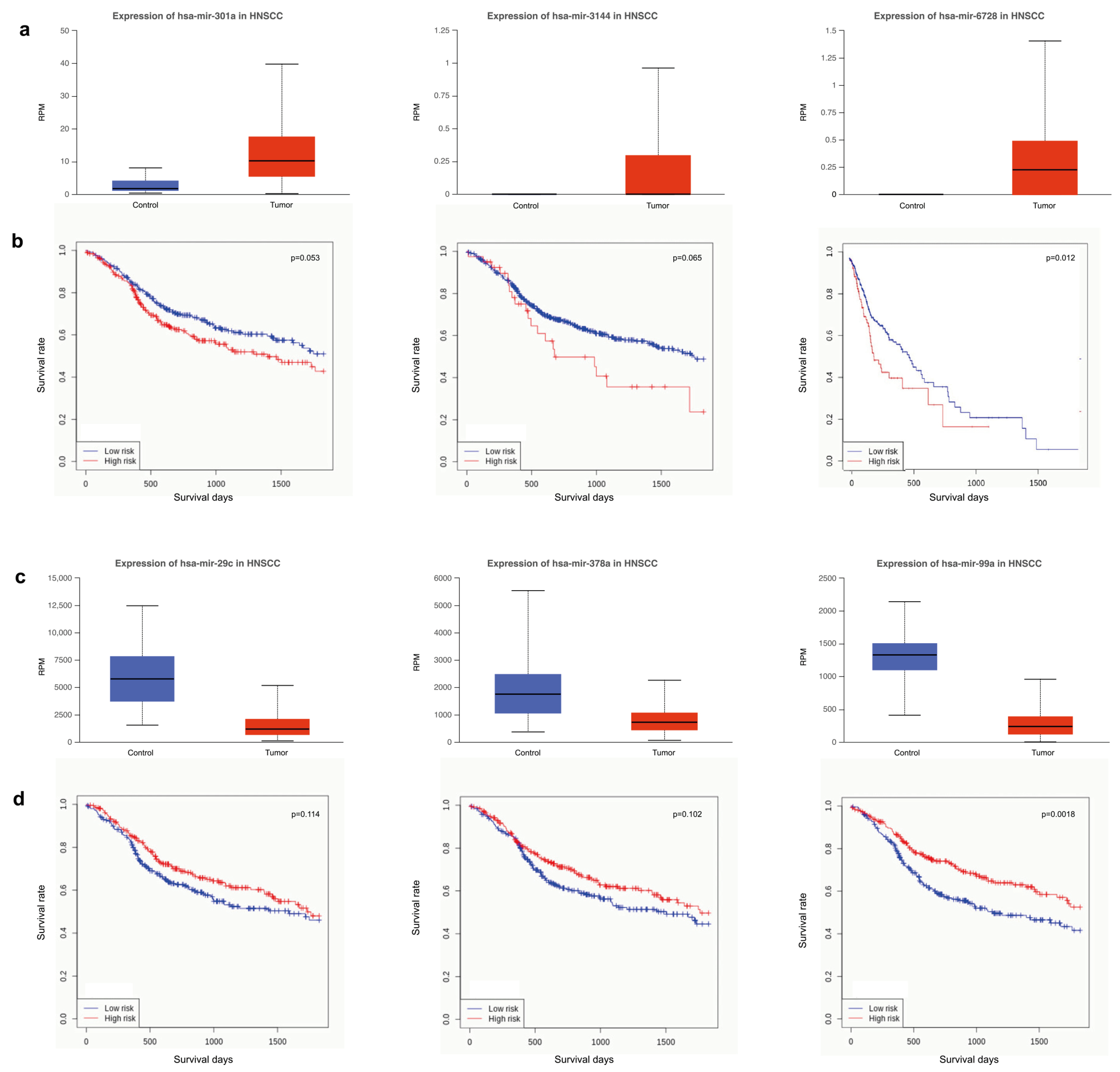 Cancers 15 04420 g006 Cancers 15 04420 g006