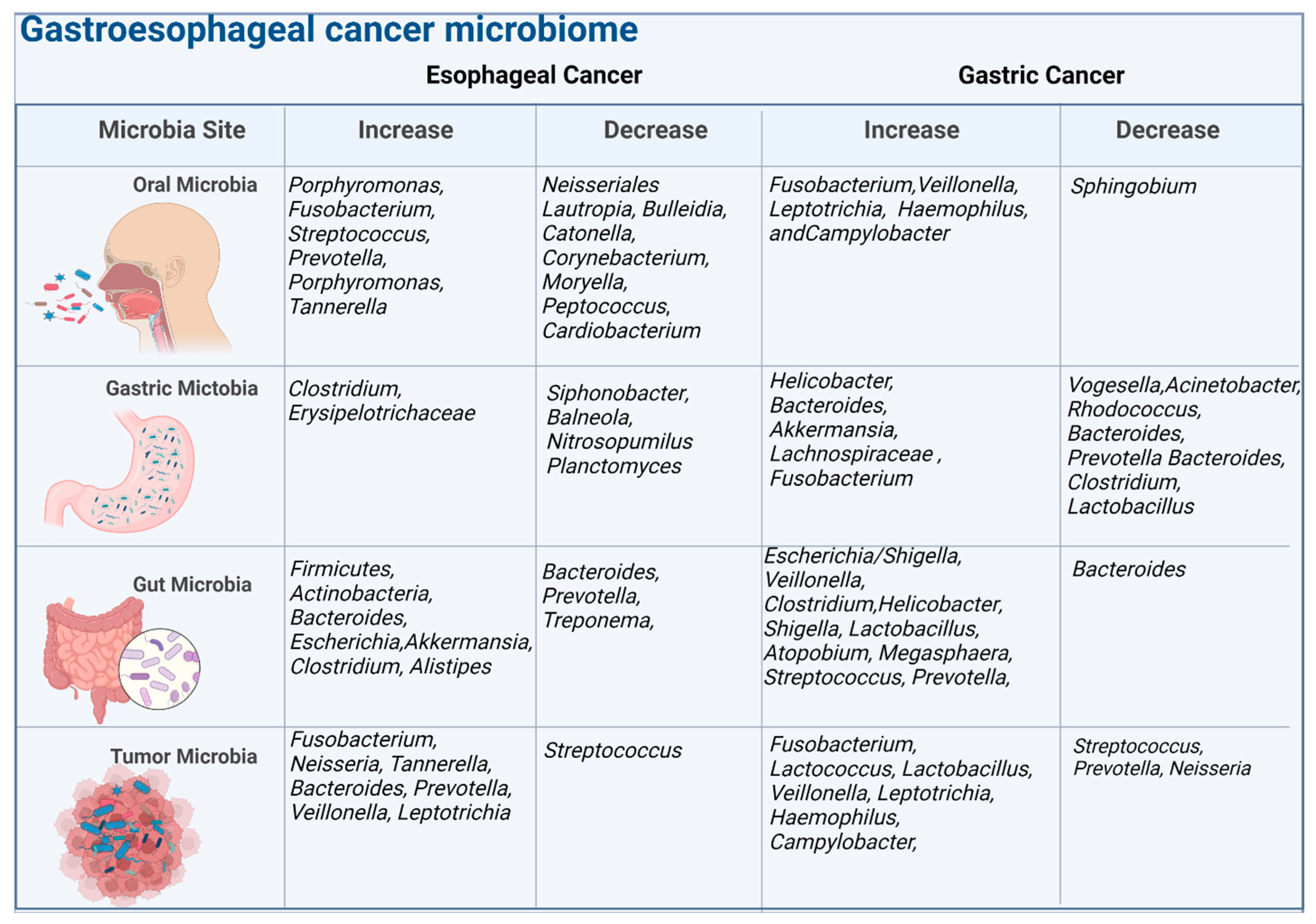 Frontiers  The role of microbiomes in gastrointestinal cancers: new  insights
