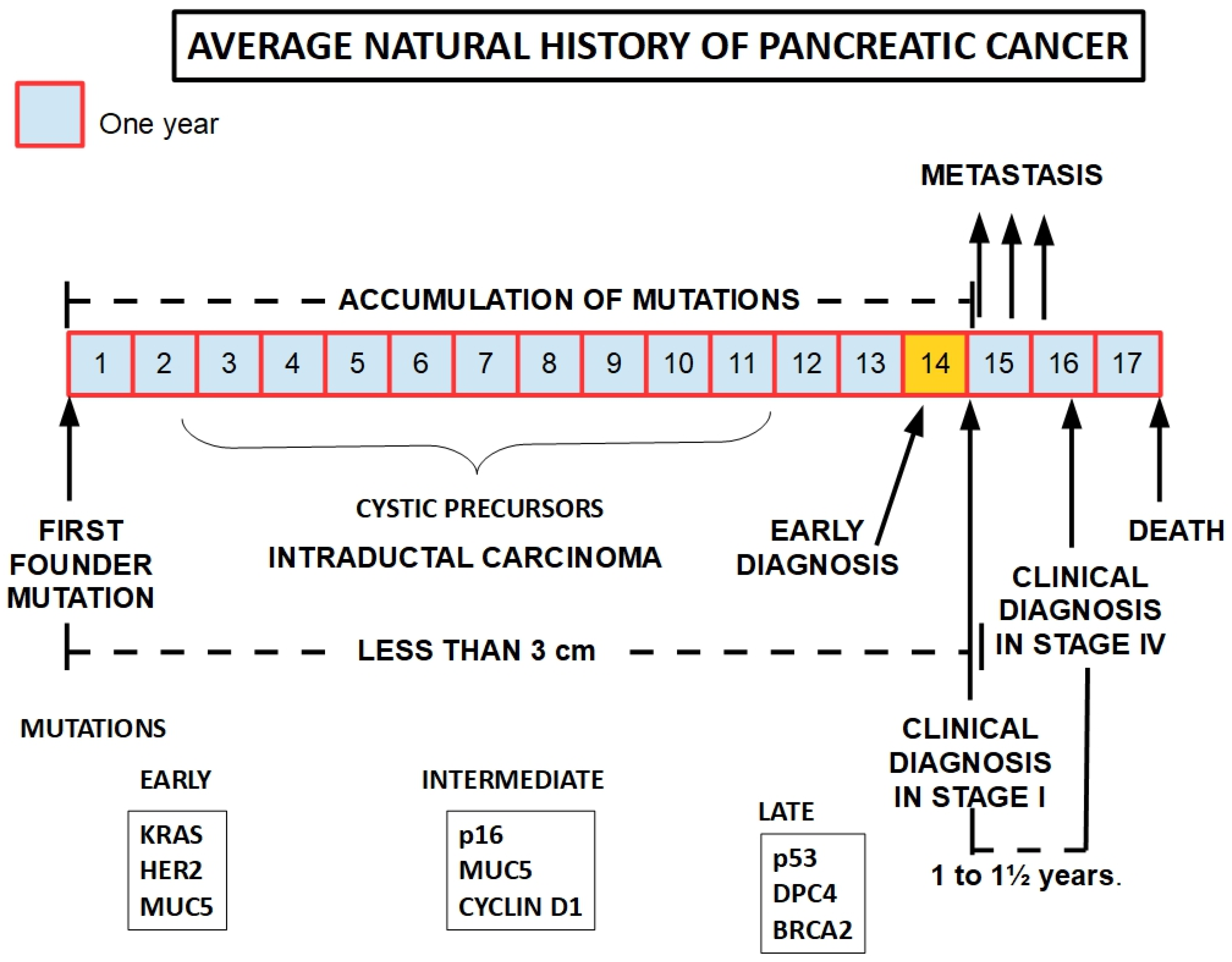 Timeline of pancreatic cancer subtyping. The timeline of pancreatic