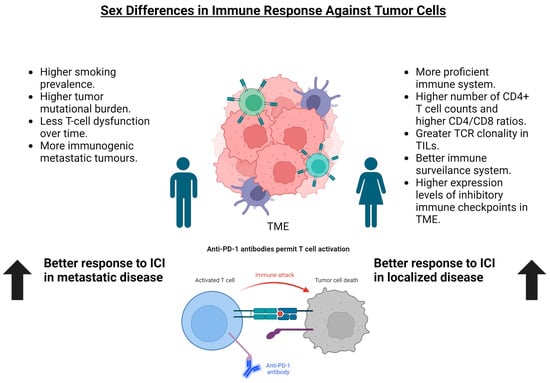 Cancers Free Full Text Sex Differences In The Efficacy Of Immune Checkpoint Inhibitors In 9963