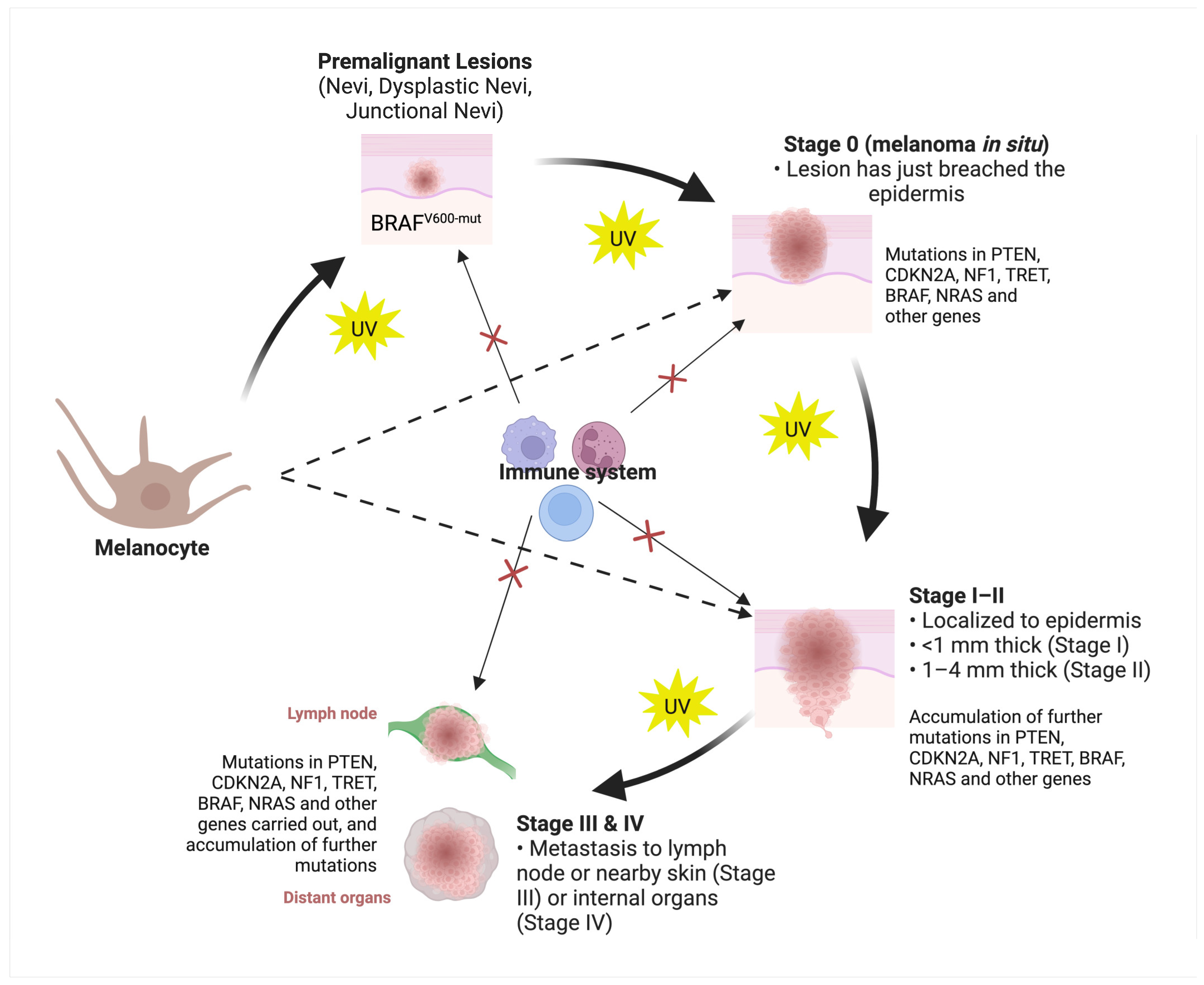 Cancers 15 04463 g002 Cancers 15 04463 g002