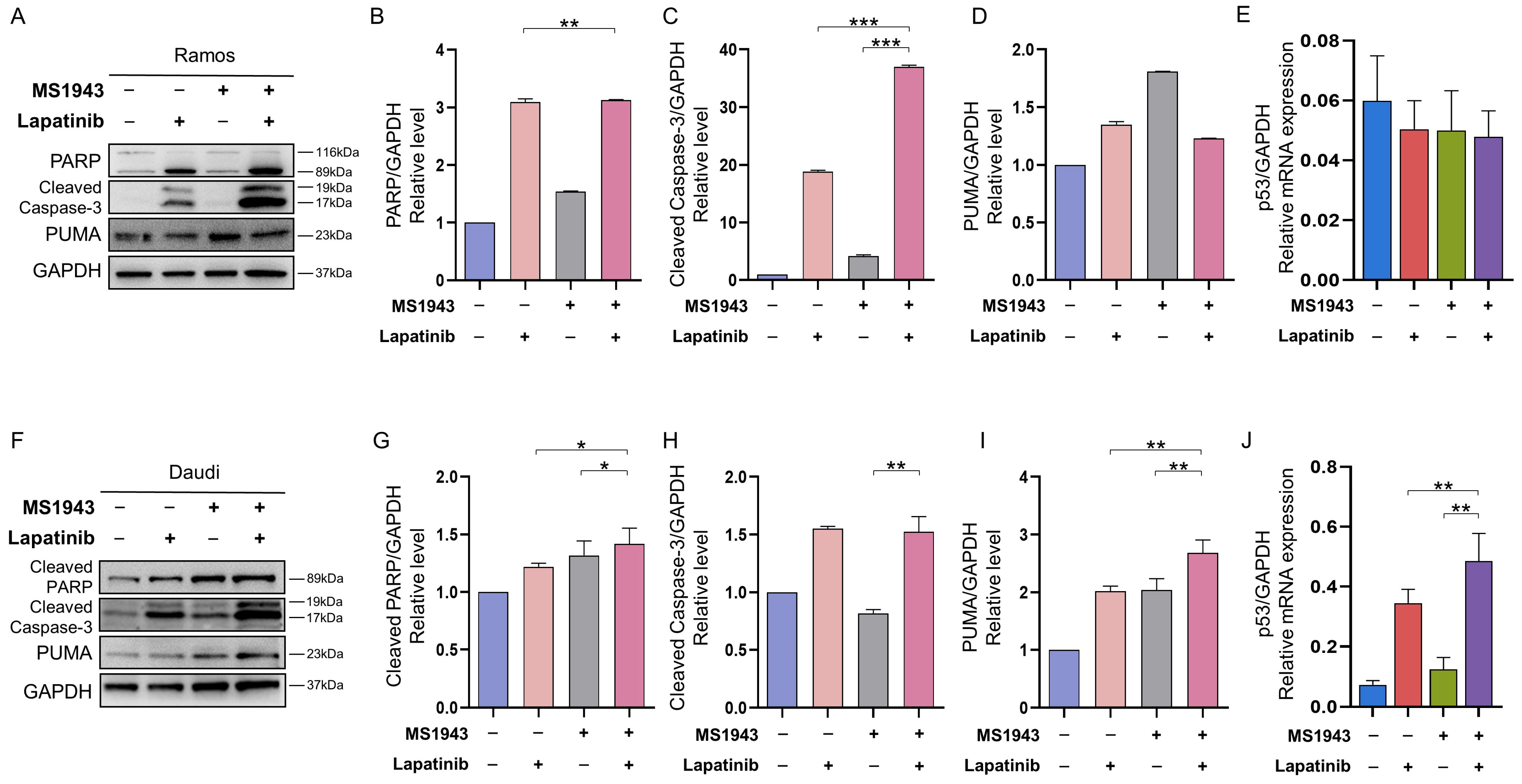 Cancers 15 04472 g006 Cancers 15 04472 g006