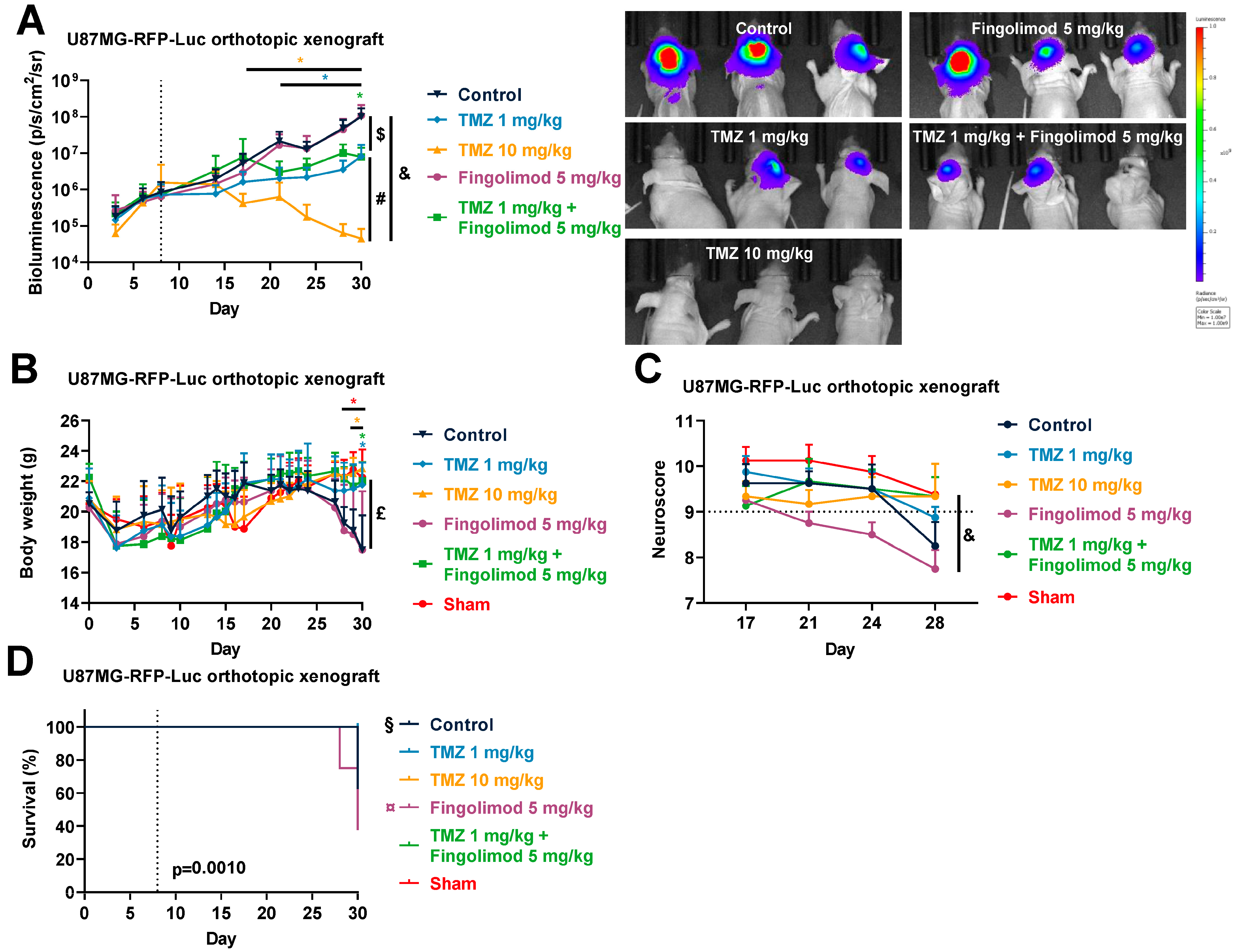 Cancers 15 04478 g008