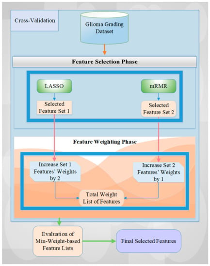 α-Rank: Multi-Agent Evaluation by Evolution