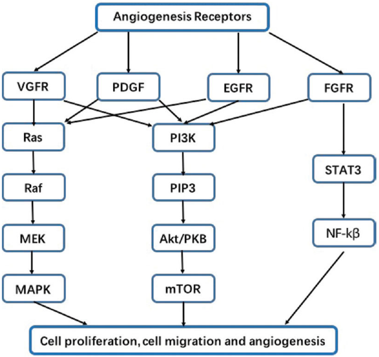 Cancers 15 04648 g001 Cancers 15 04648 g001