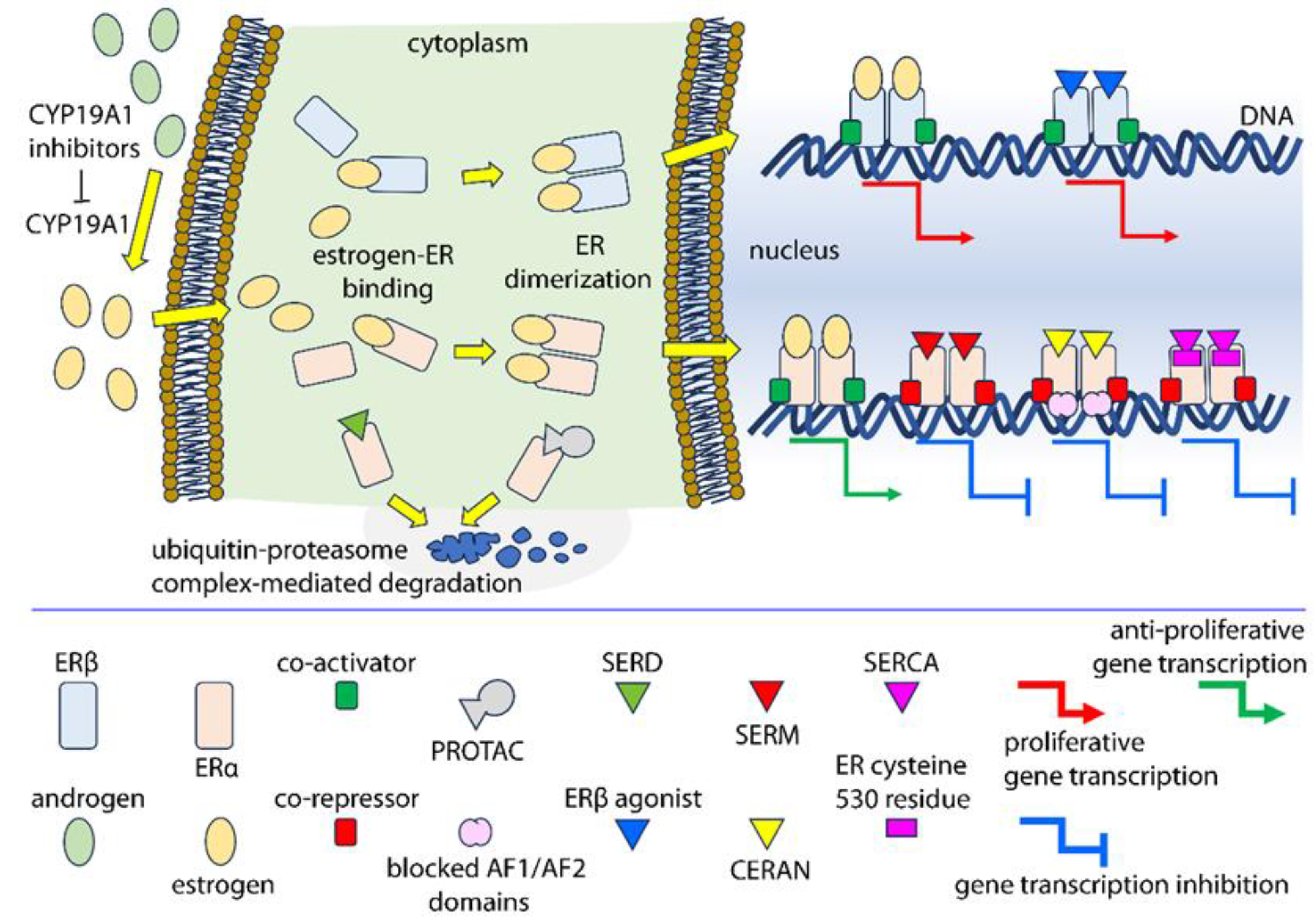 Cancers 15 04653 g004 Cancers 15 04653 g004