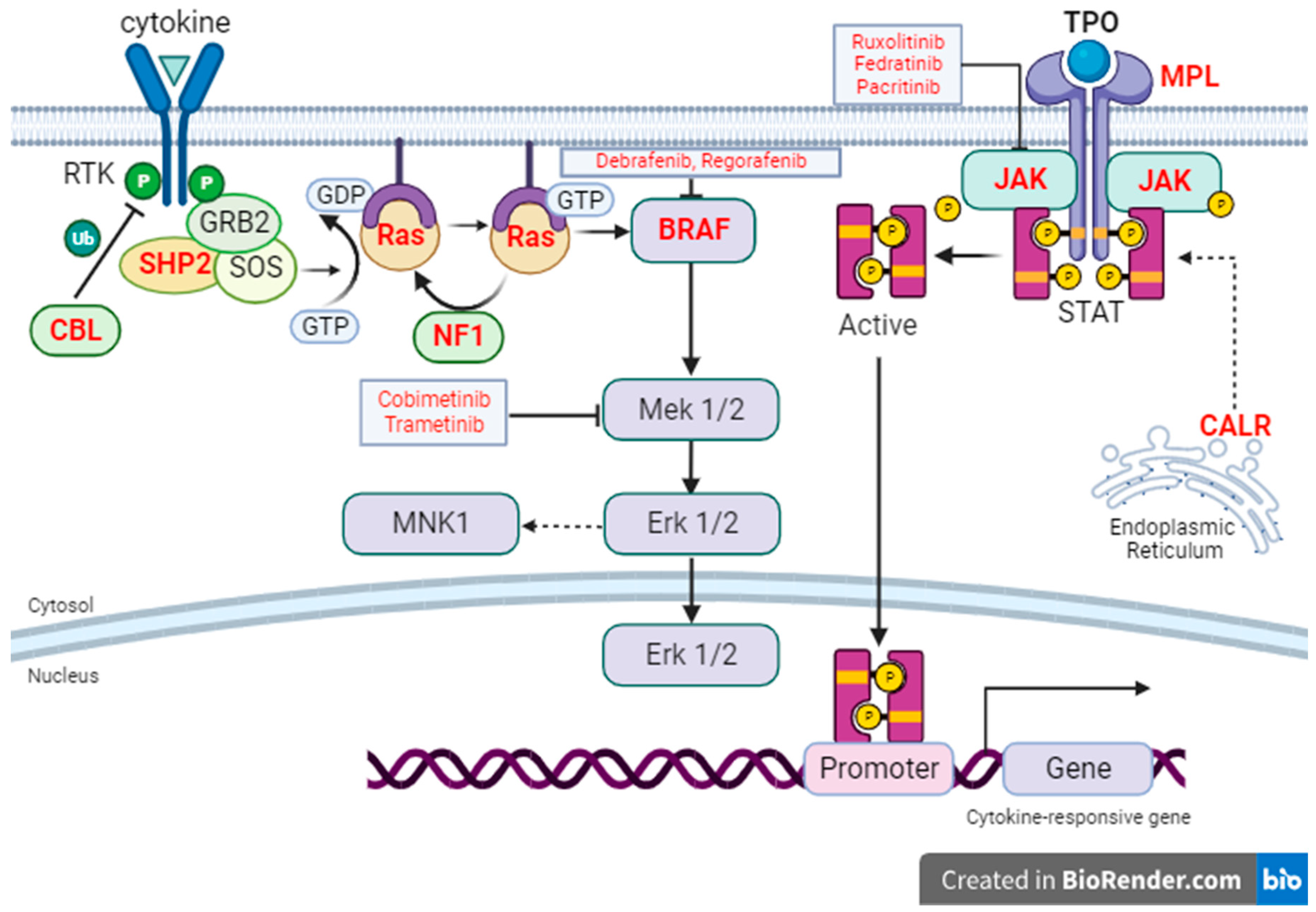 Cancers | Free Full-Text | Exploring the Molecular Landscape of