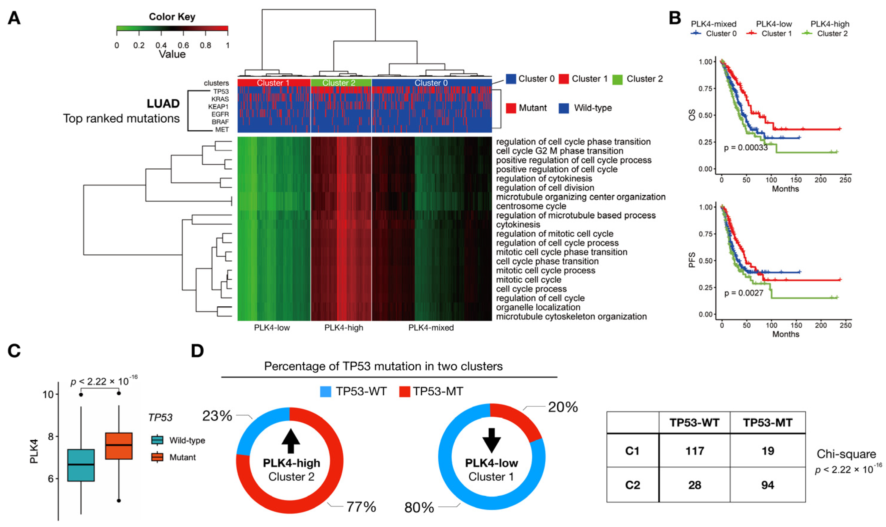 Cancers 15 04663 g003