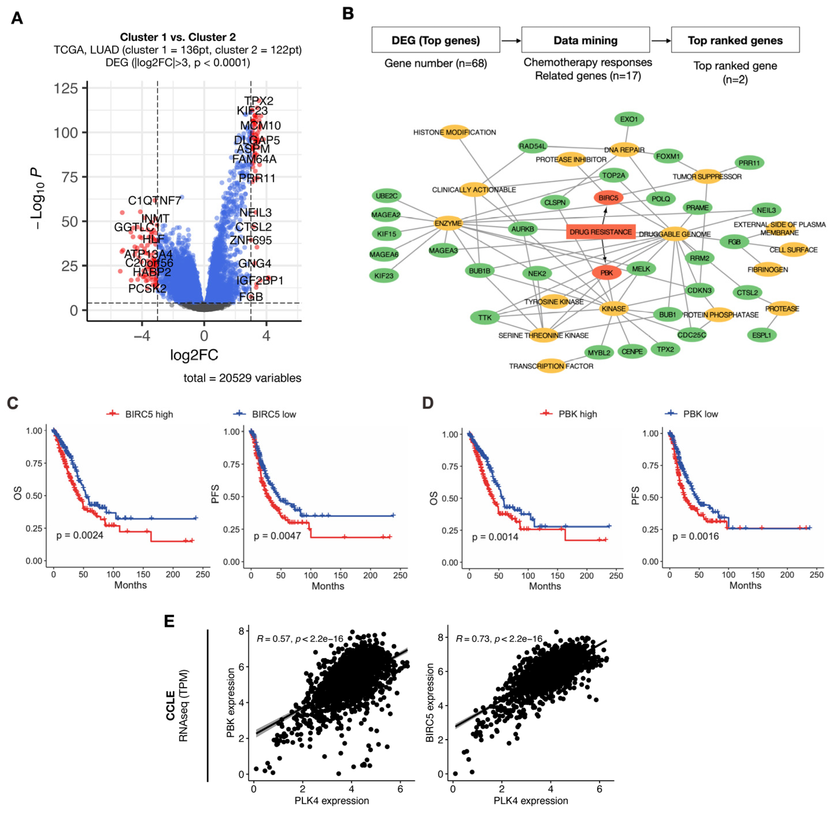 Cancers 15 04663 g004
