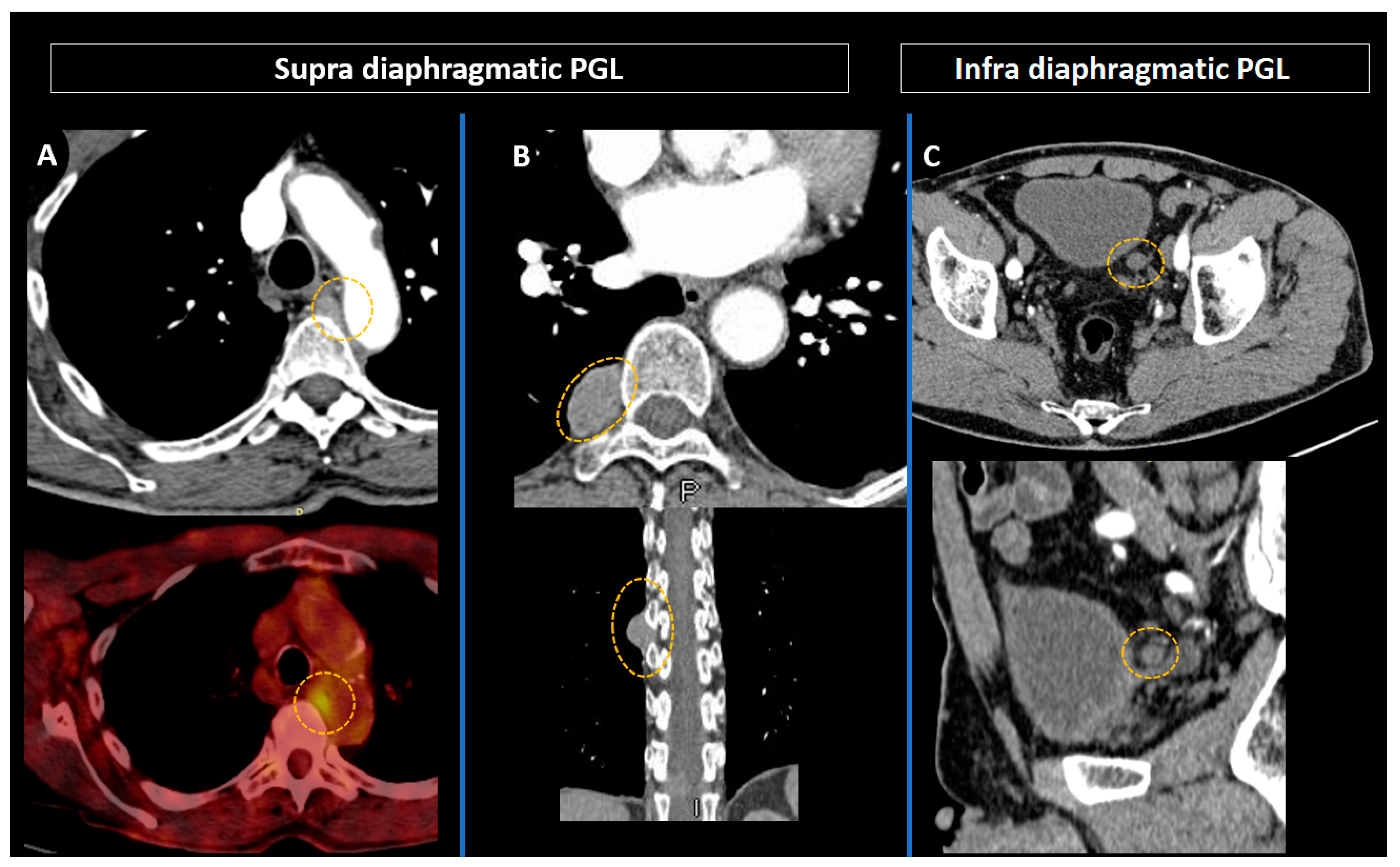 Cancers 15 04666 g007 Cancers 15 04666 g007