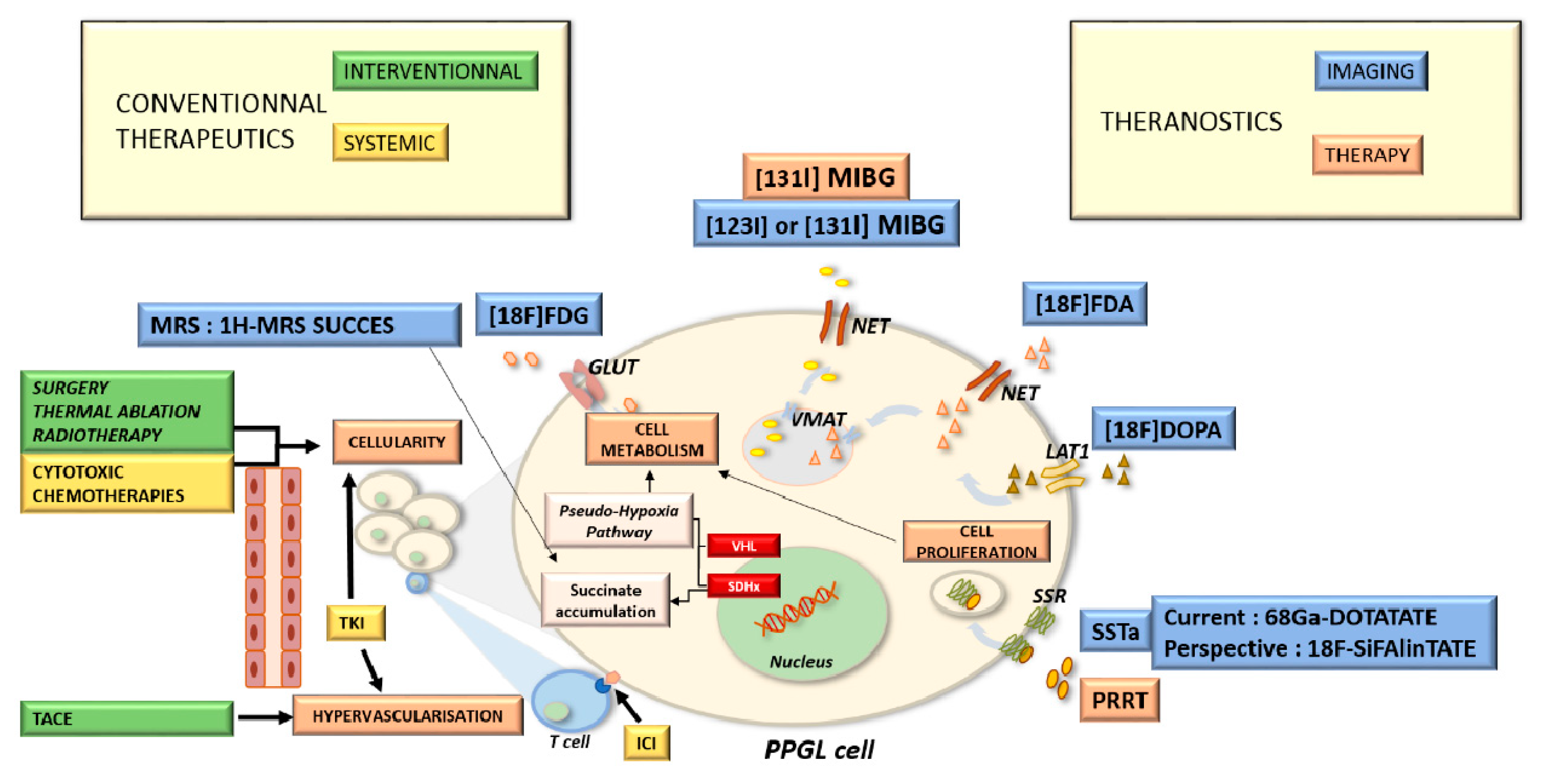 Cancers 15 04666 g0a1 Cancers 15 04666 g0a1