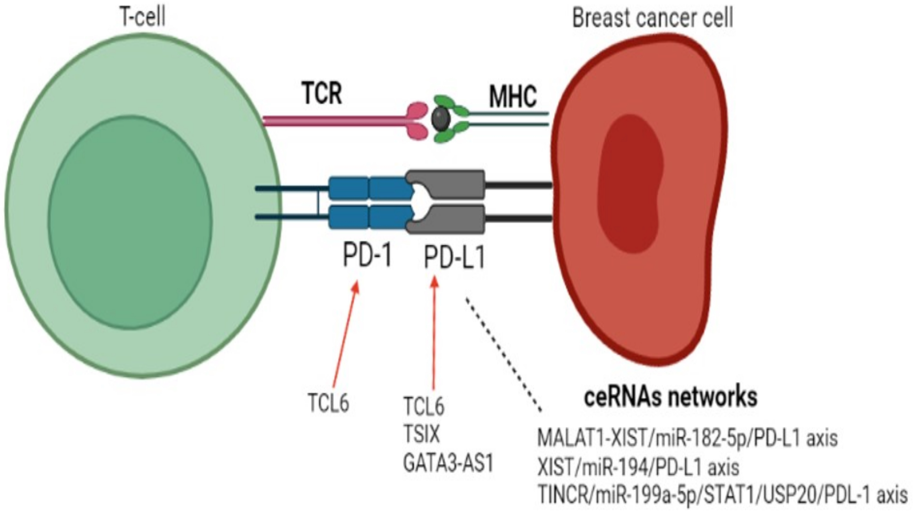 Cancers 15 04682 g001