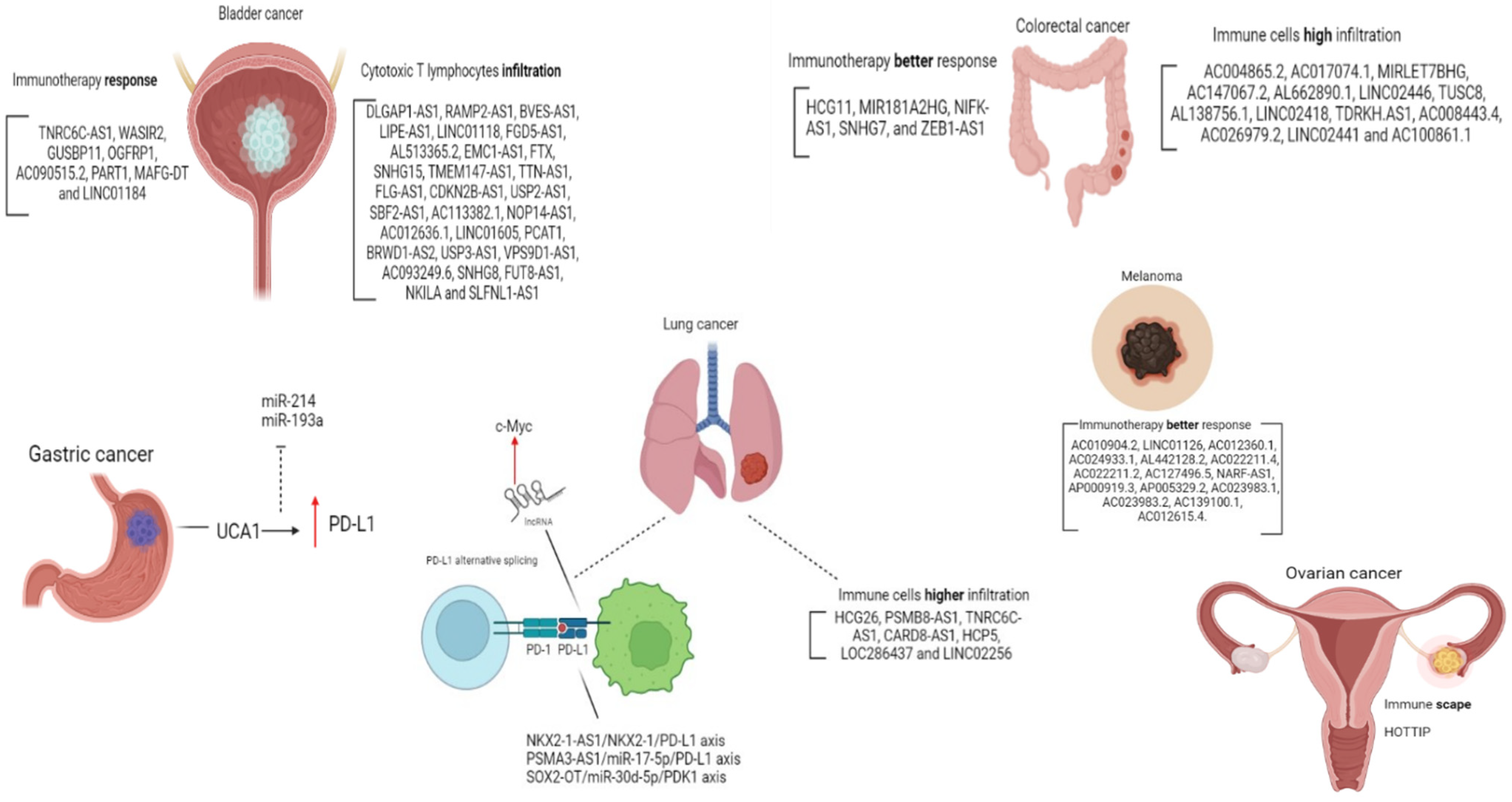 Cancers 15 04682 g002
