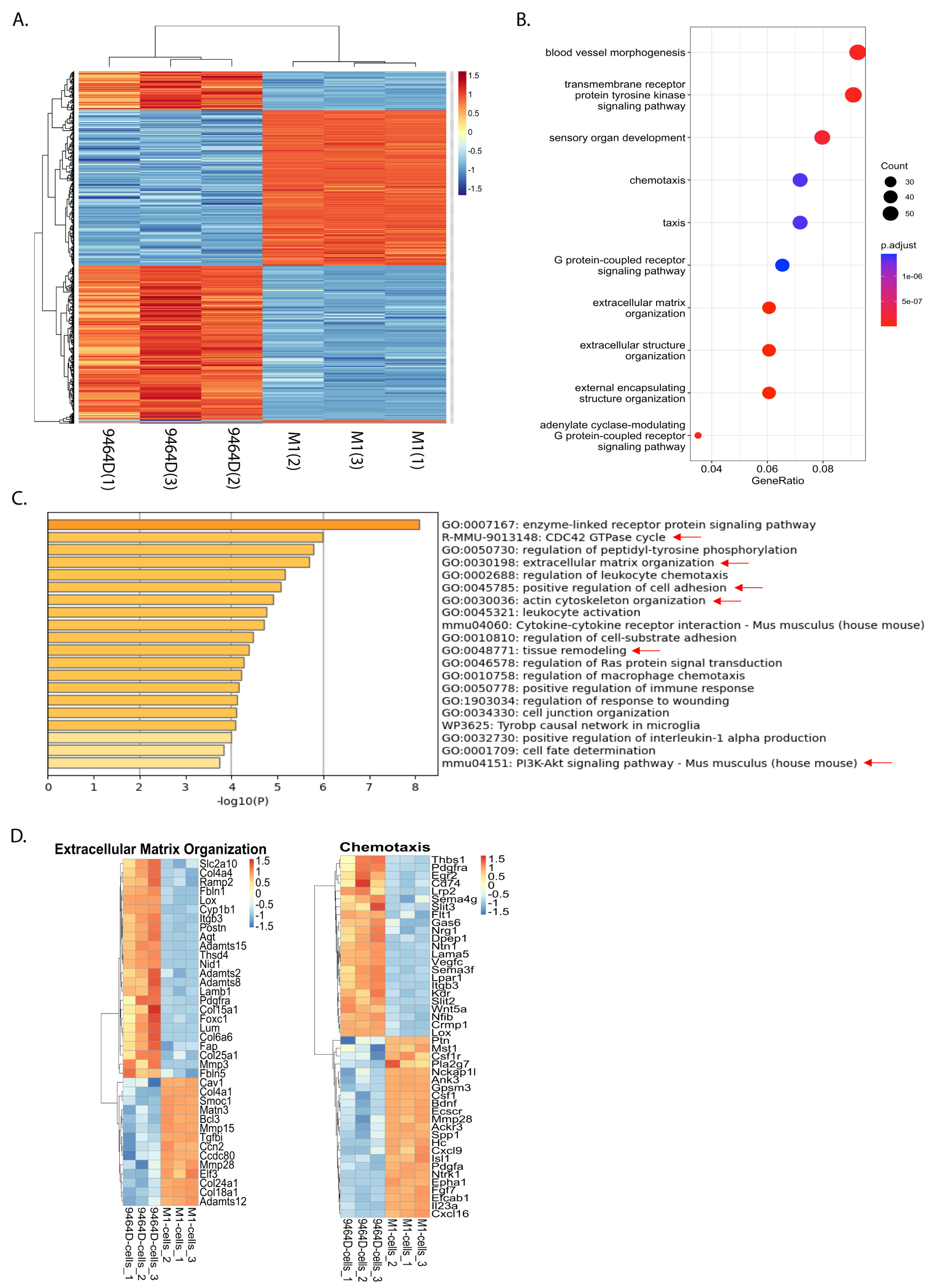 Cancers 15 04693 g006