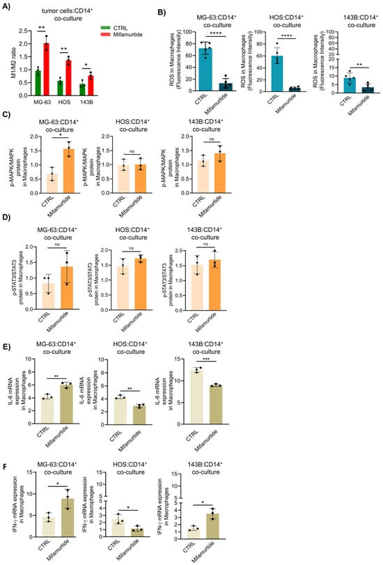 Cancers | Free Full-Text | Blockade of IL-10 Signaling Ensures 