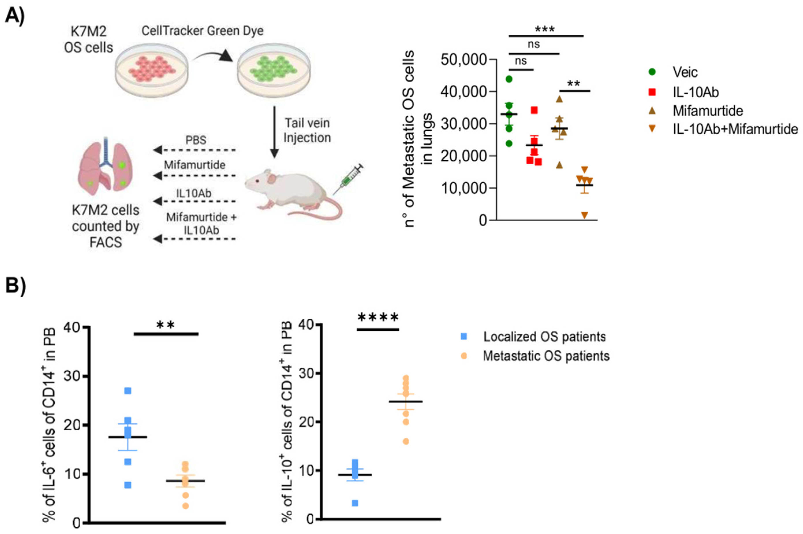 Cancers | Free Full-Text | Blockade of IL-10 Signaling Ensures 