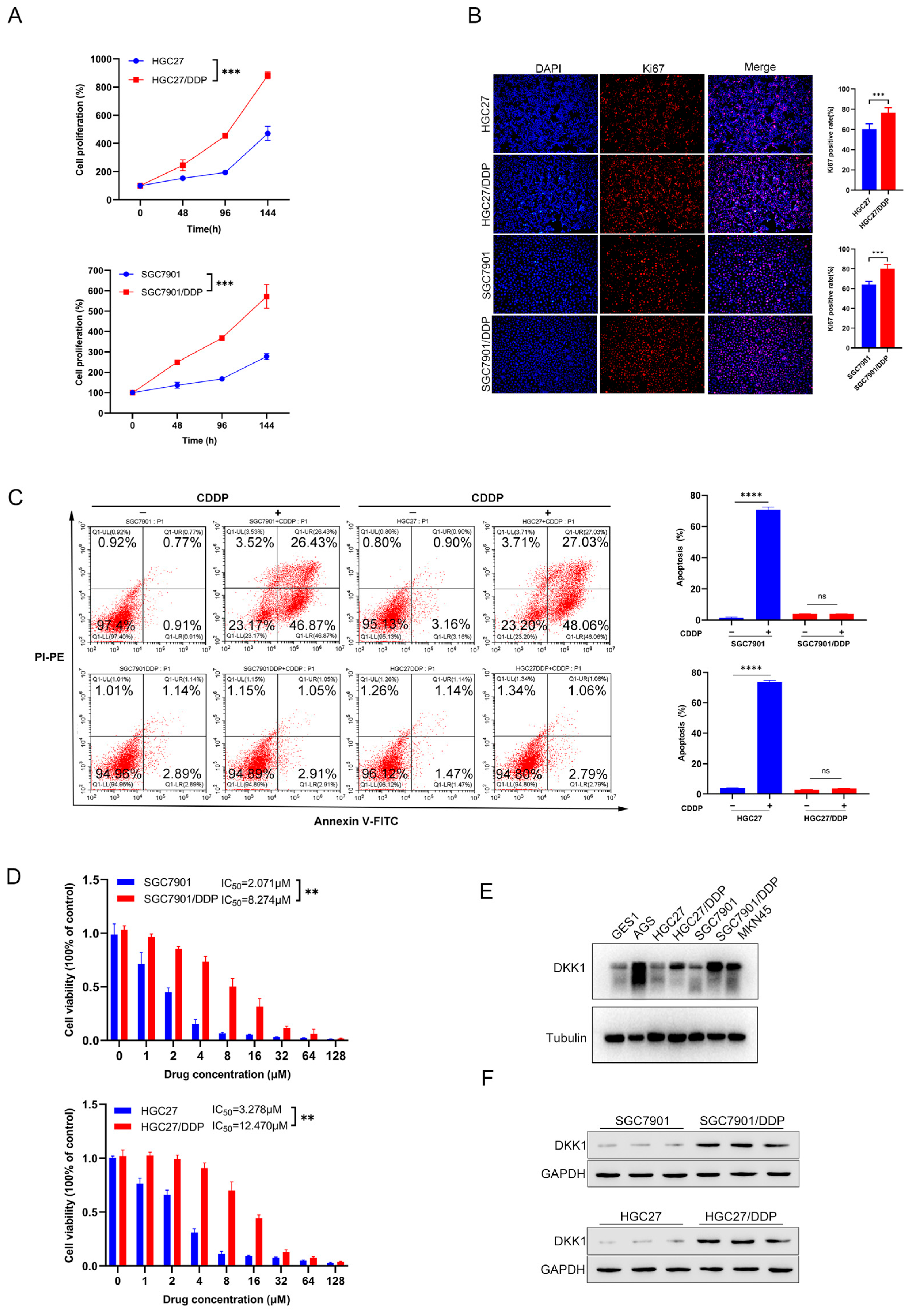 Cancers 15 04756 g002