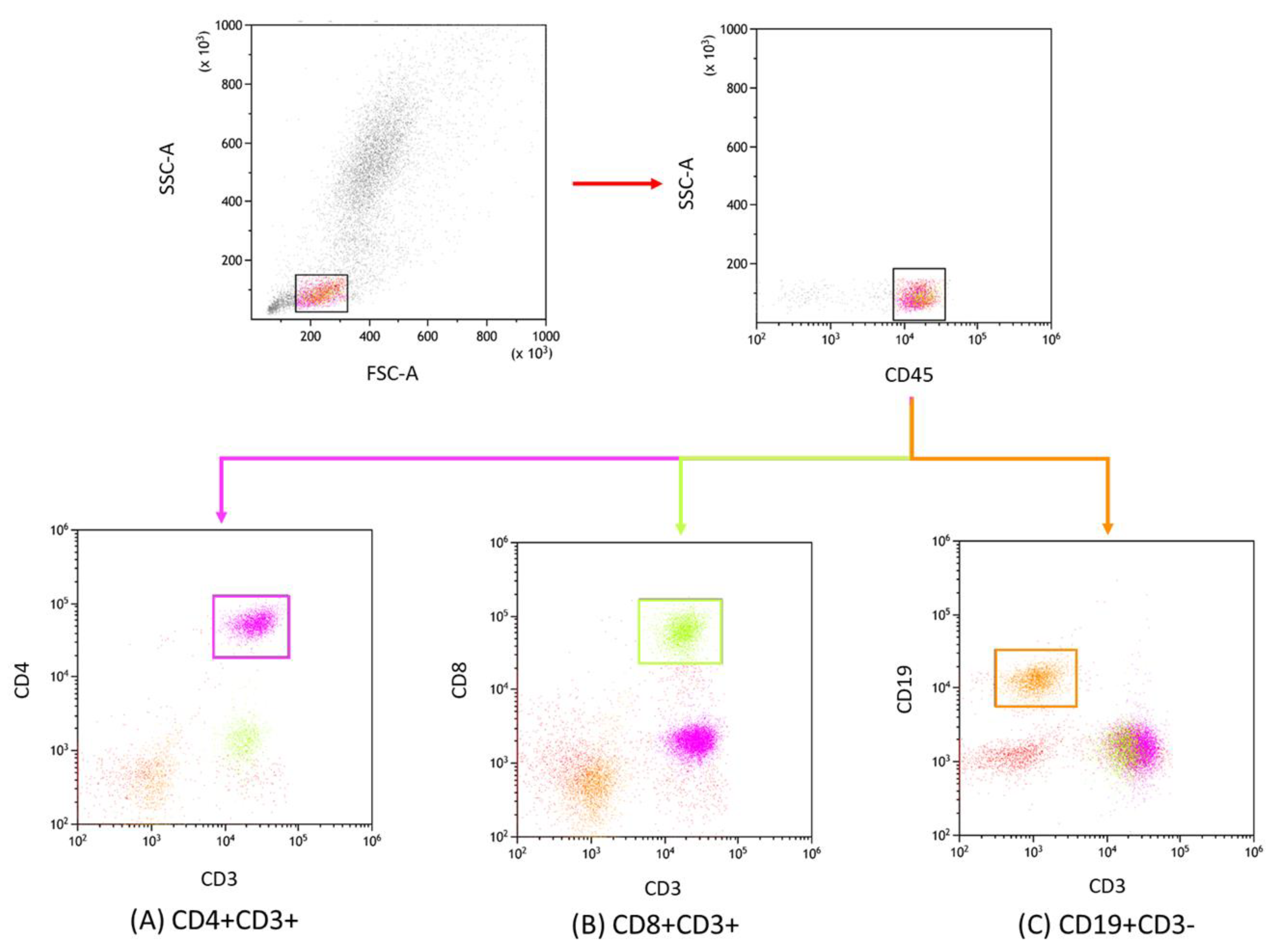 Cancers 15 04786 g001 Cancers 15 04786 g001