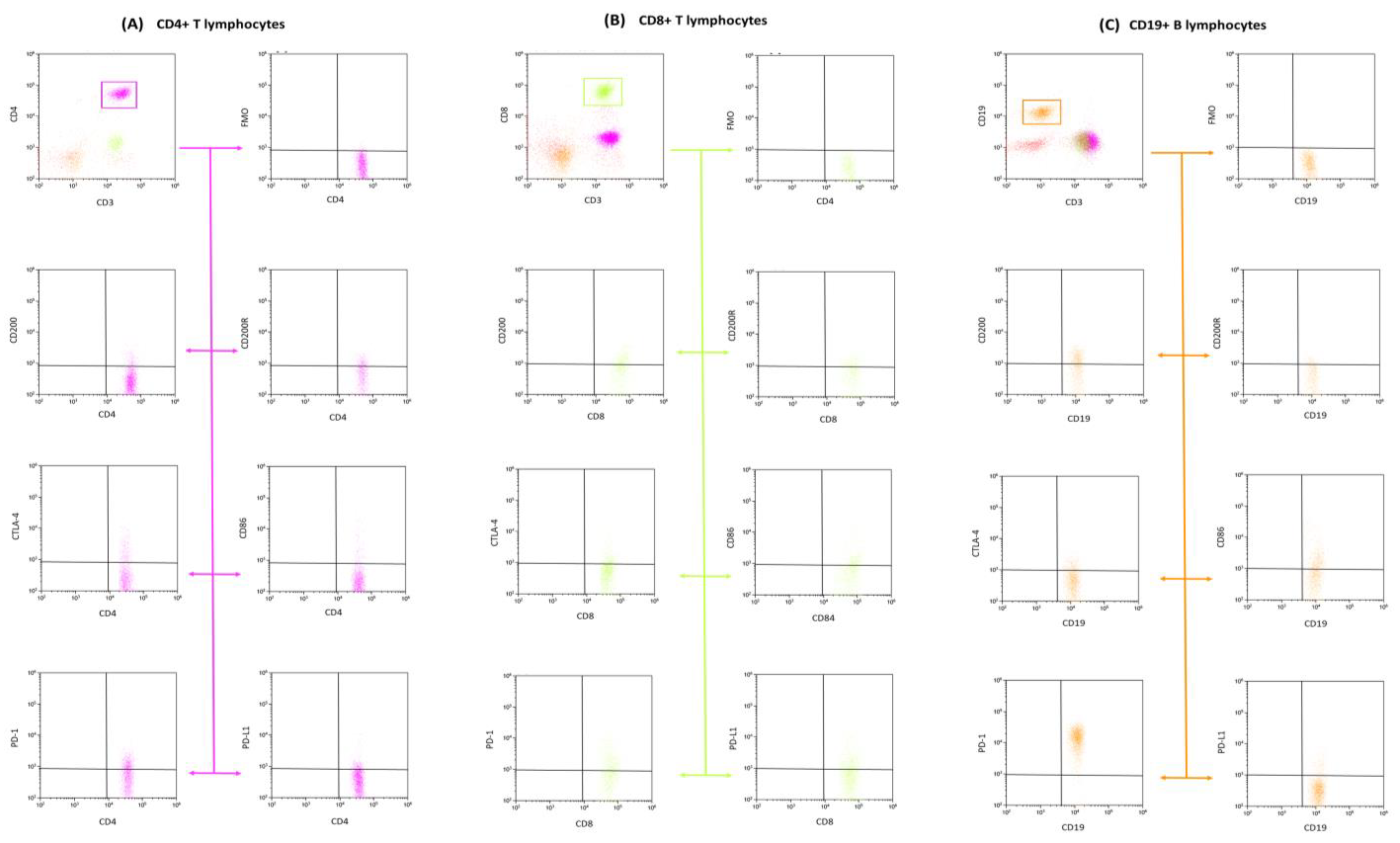 Cancers 15 04786 g002 Cancers 15 04786 g002