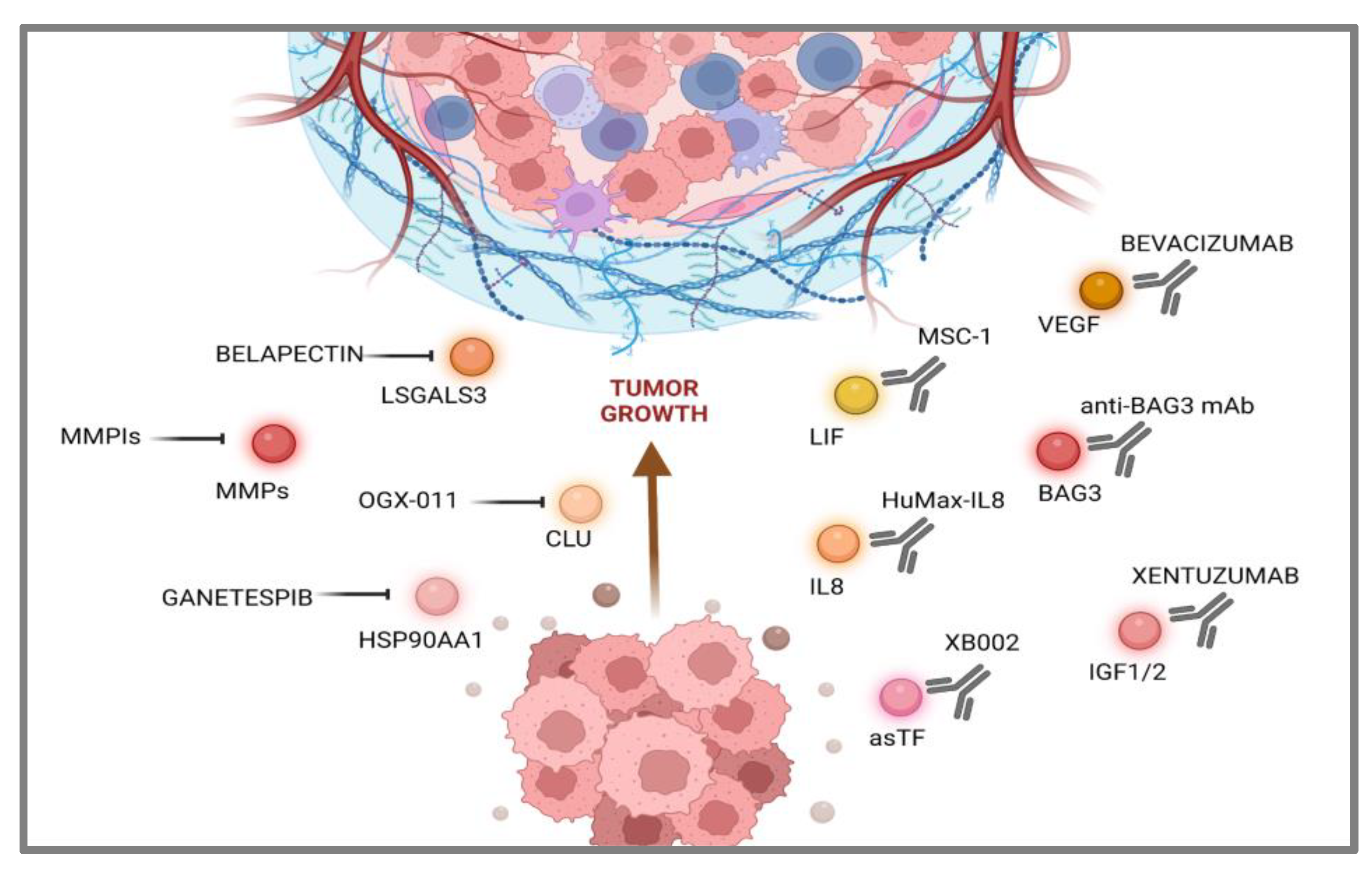 Cancers 15 04825 g002
