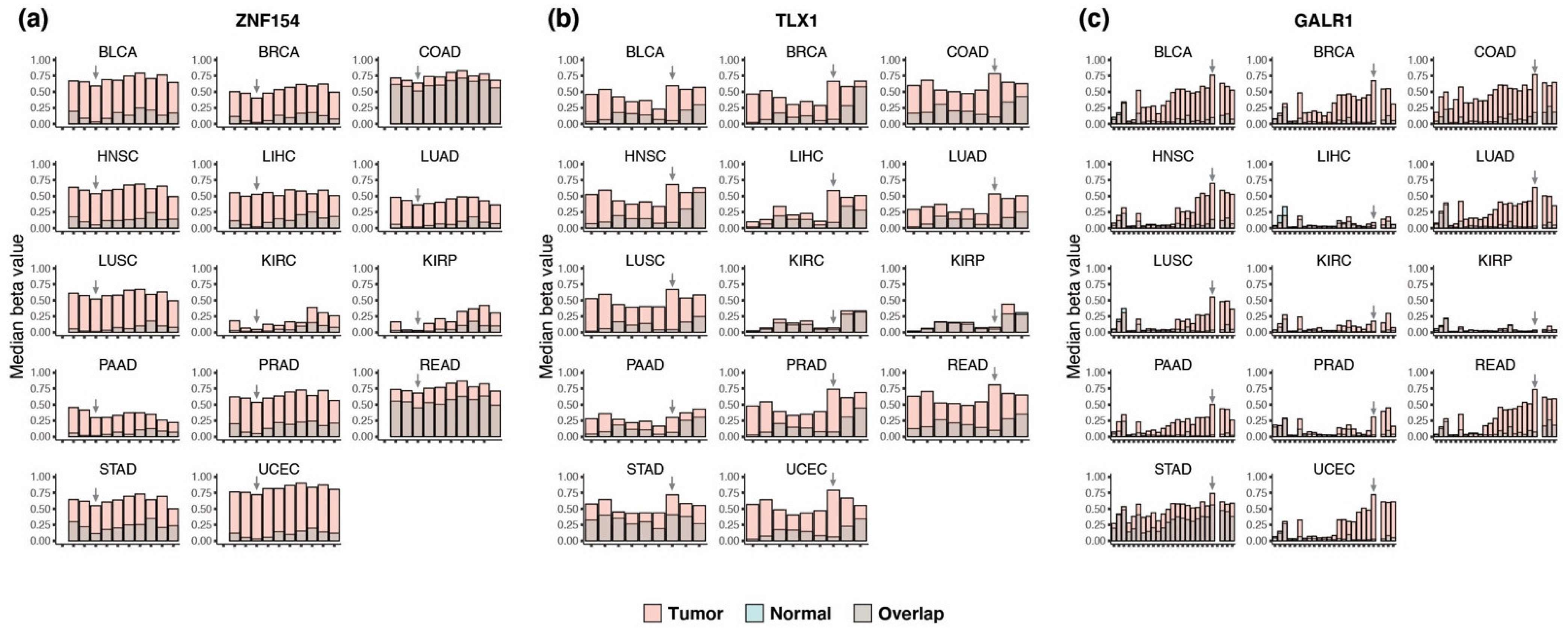 Cancers 15 04826 g001