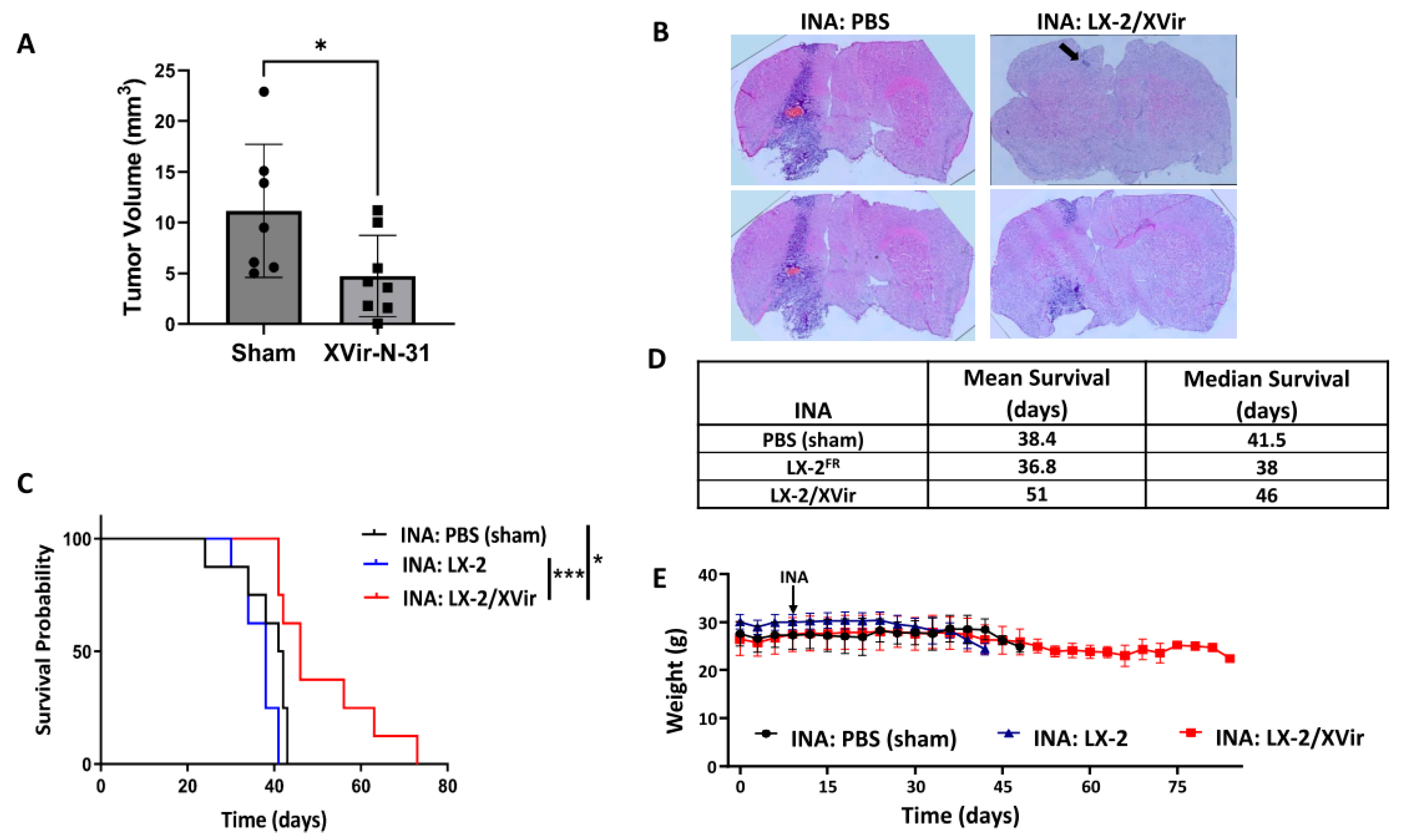 Cancers 15 04912 g005