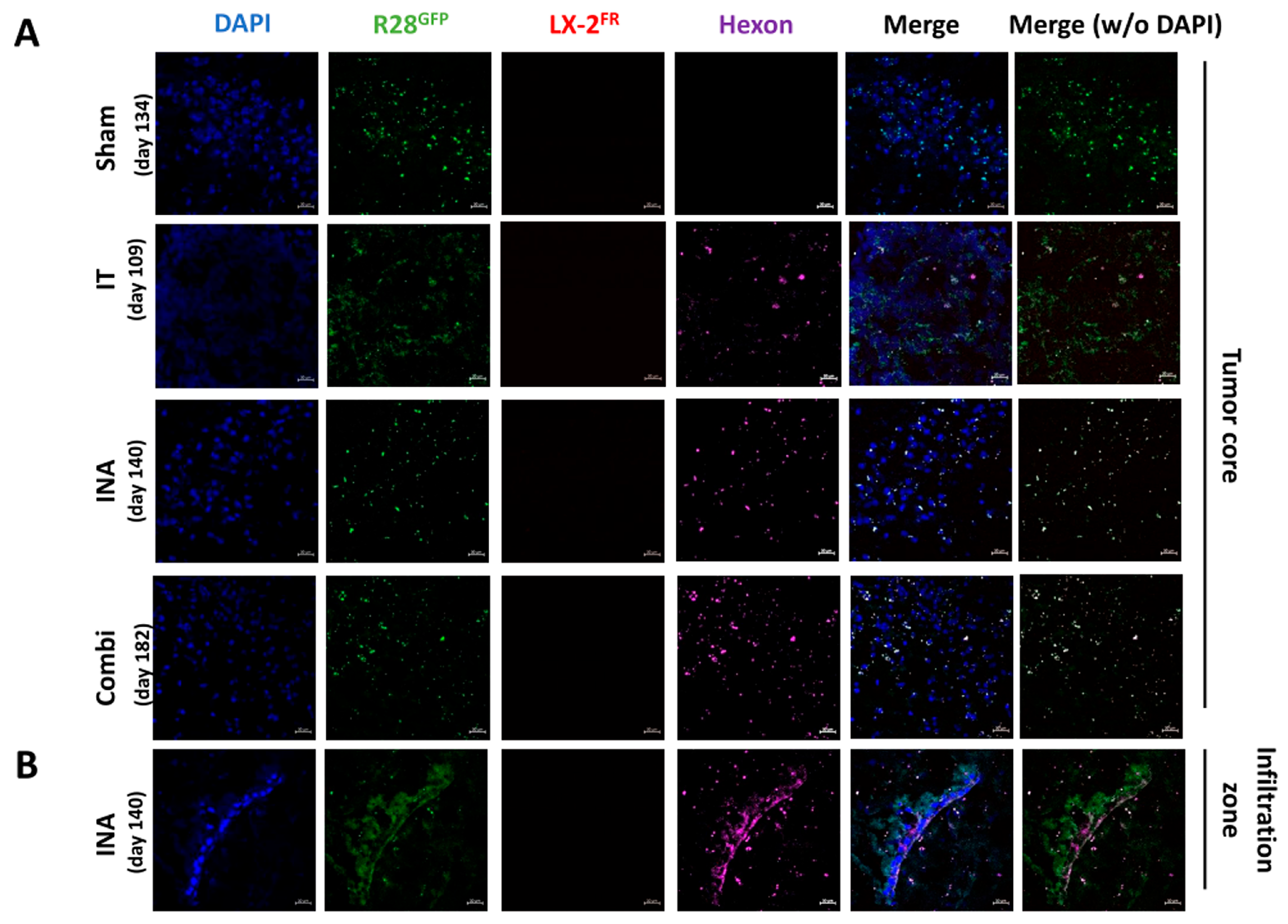 Cancers 15 04912 g007