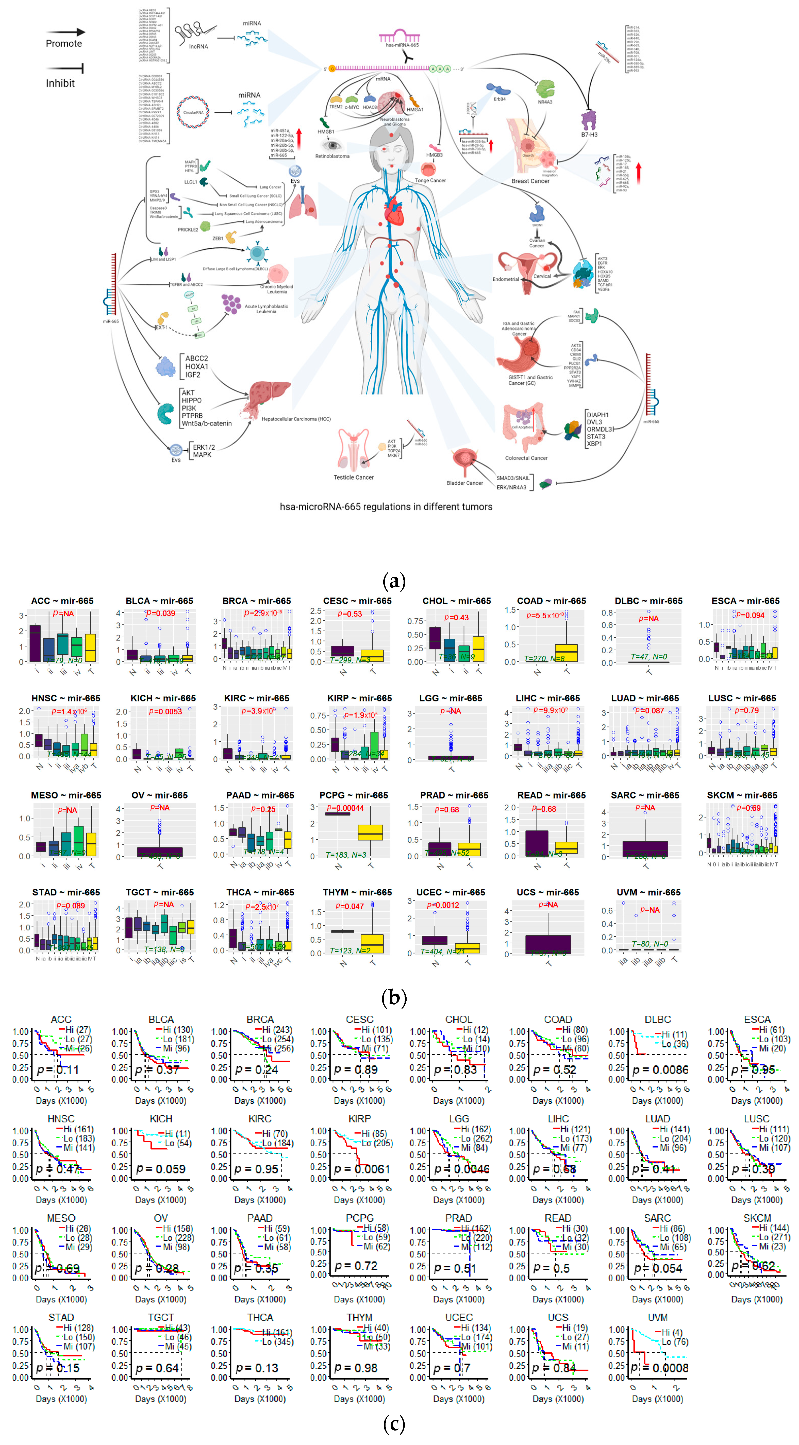 Cancers 15 04915 g003