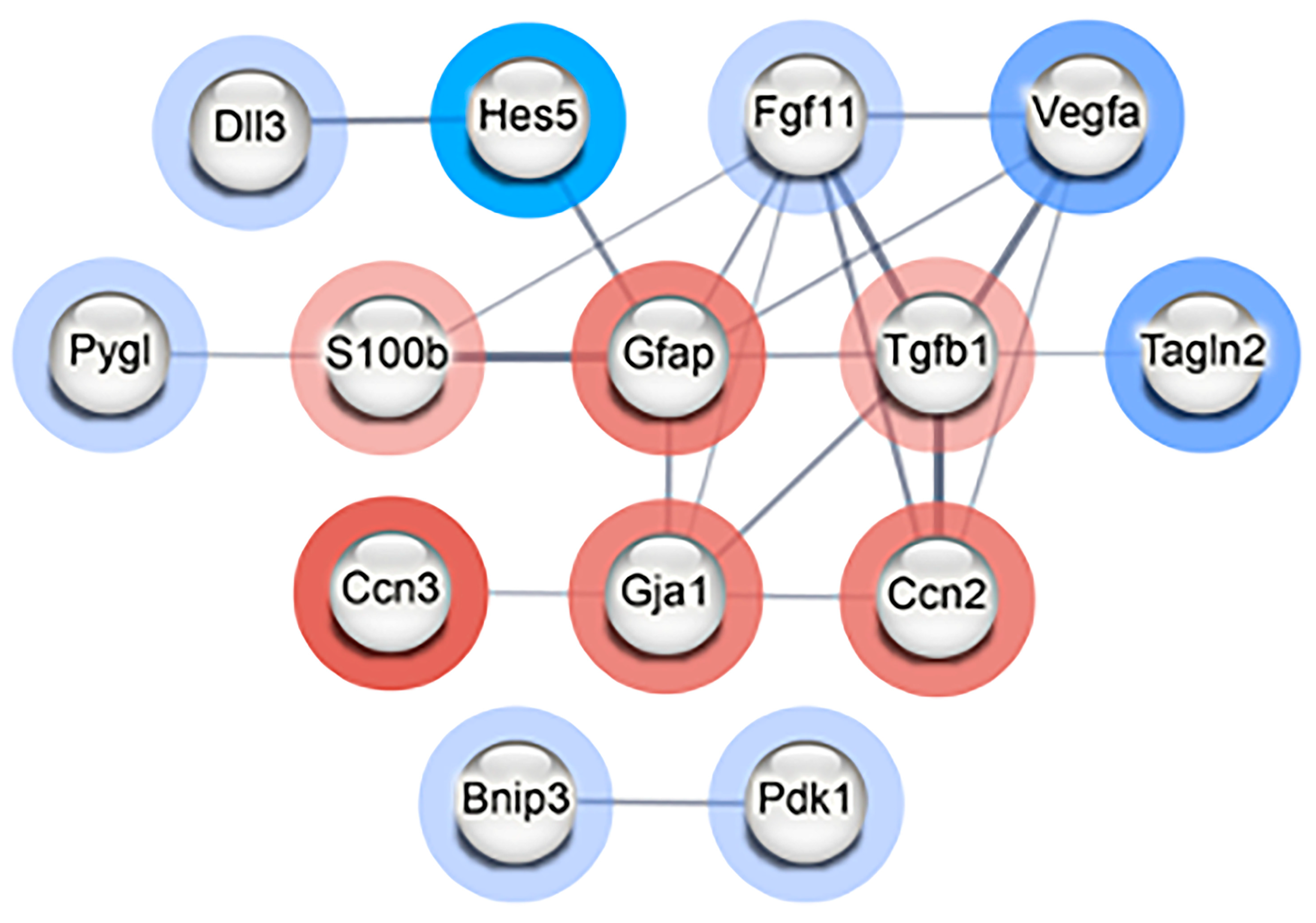 Cancers 15 04916 g004