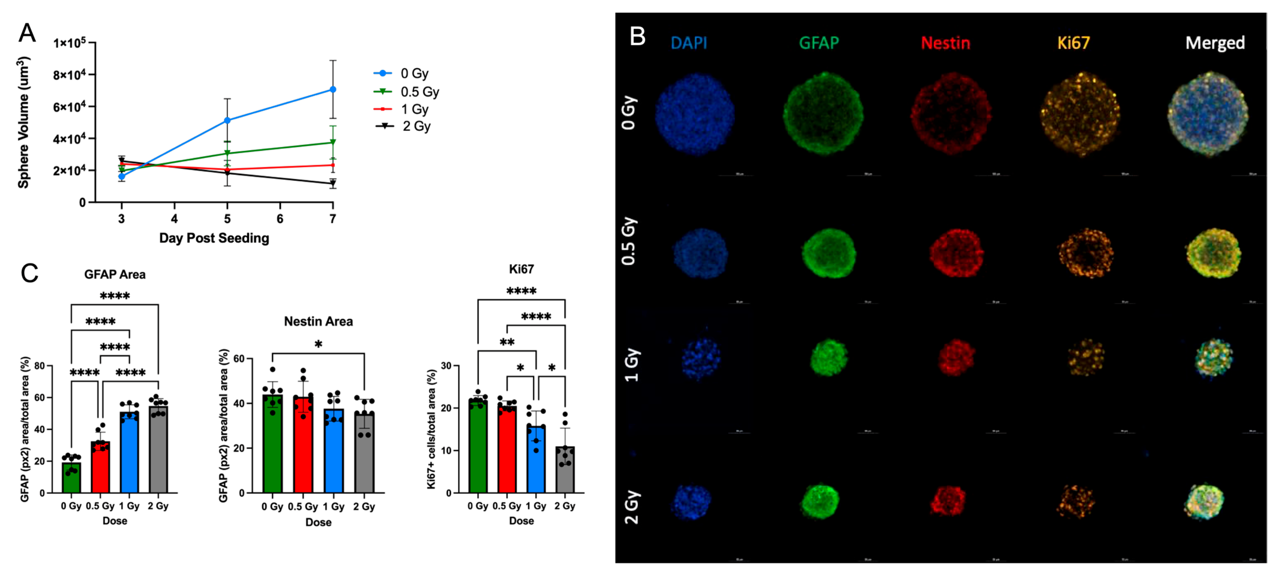 Cancers 15 04916 g005
