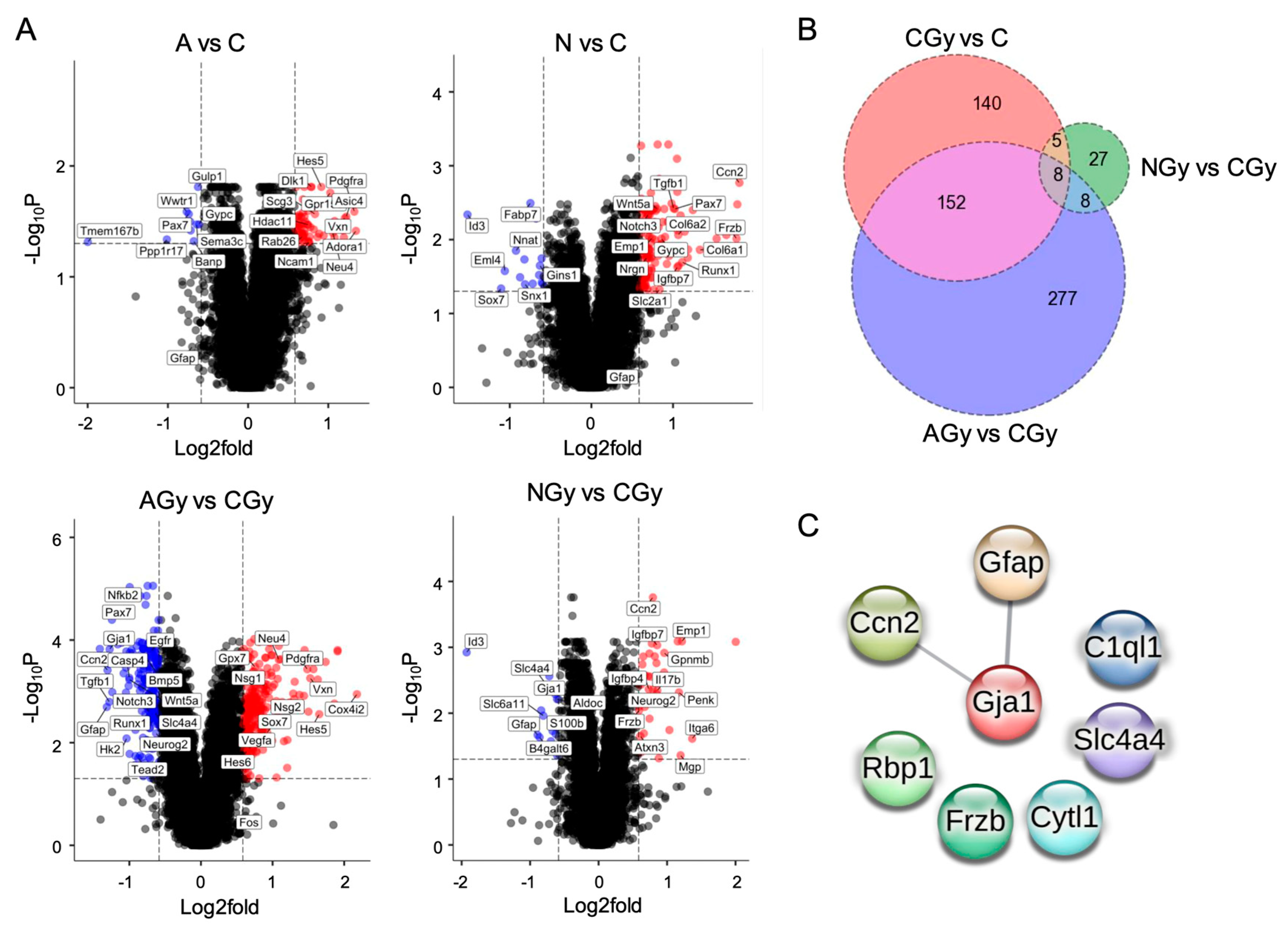 Cancers 15 04916 g008