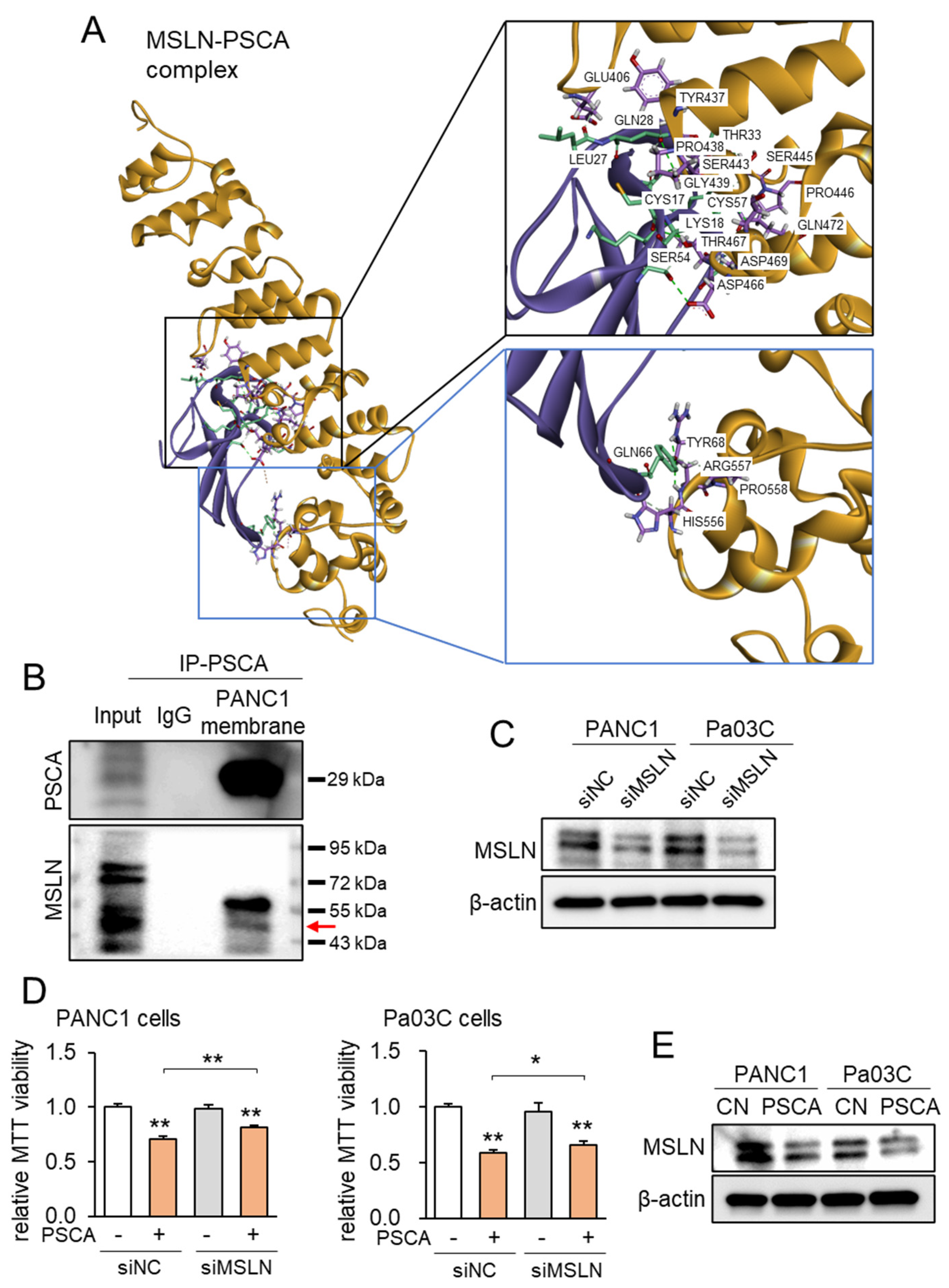 Cancers 15 04917 g004