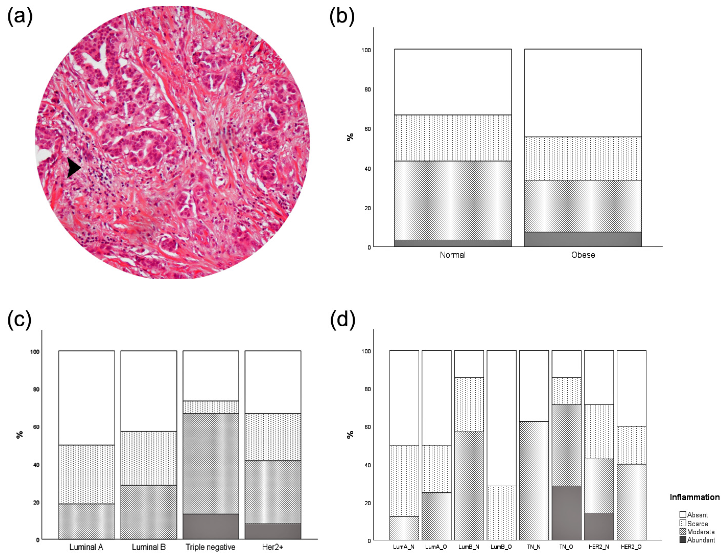 Cancers 15 04936 g003