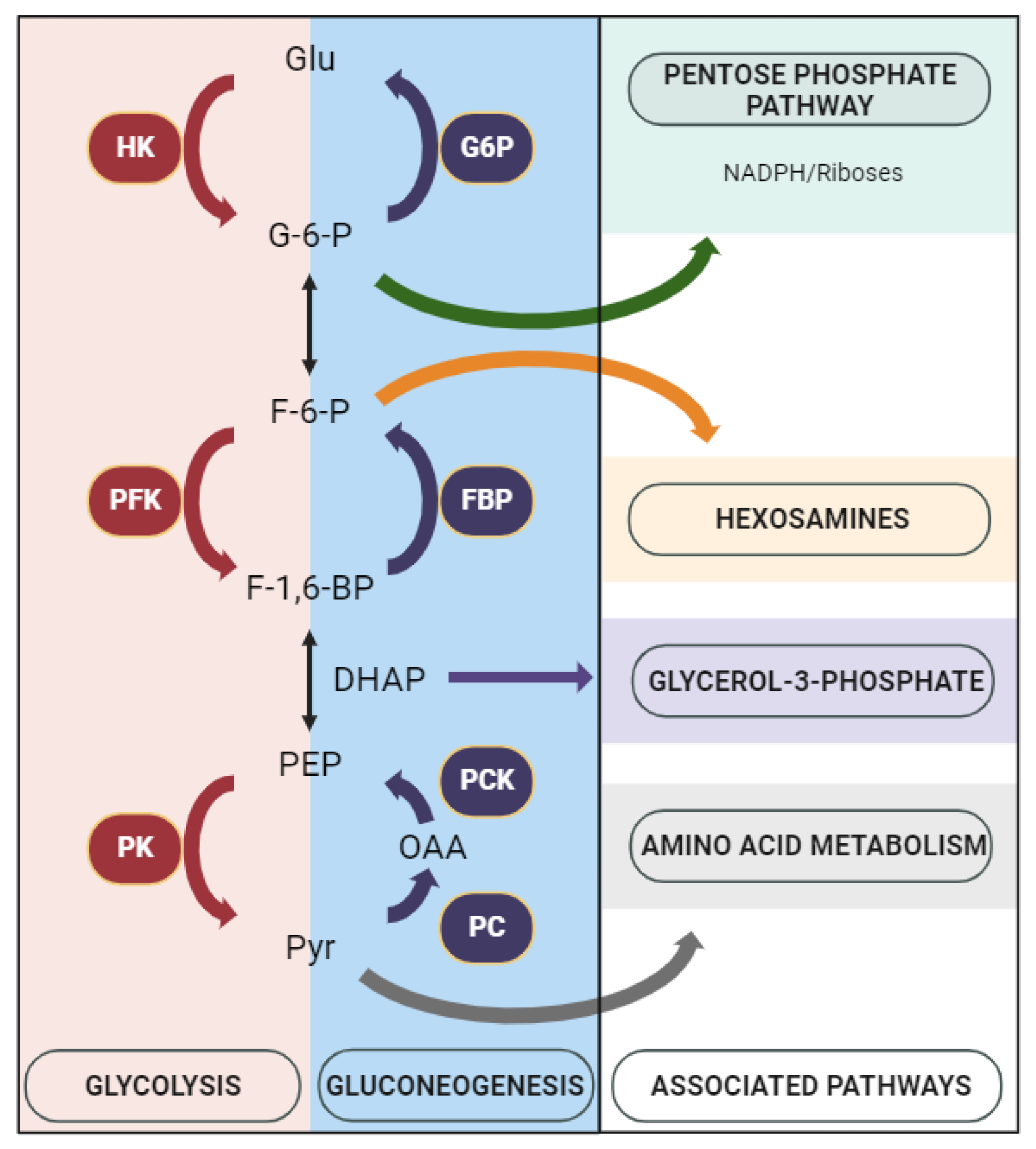 Cancers 15 04936 g004
