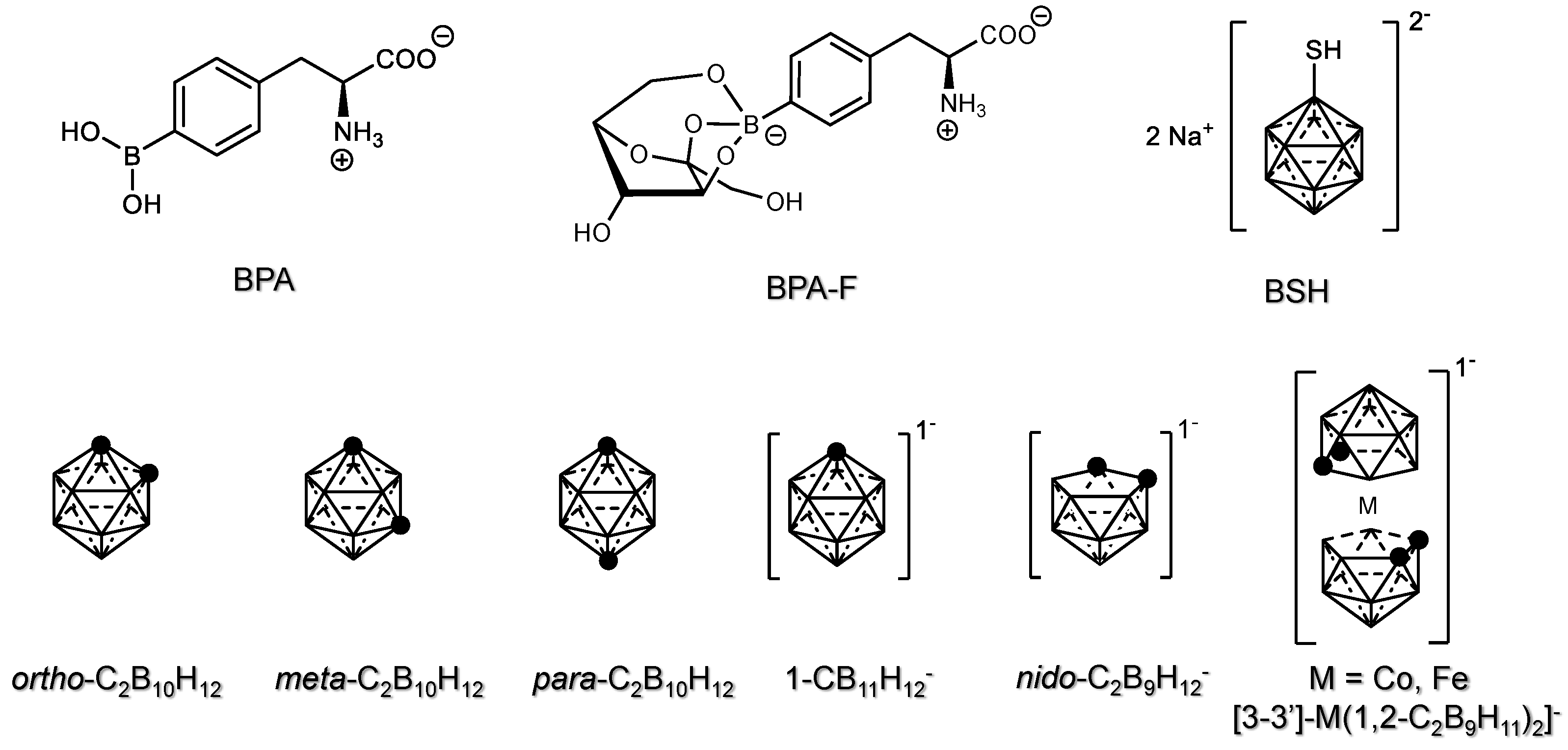 Cancers 15 04944 g002