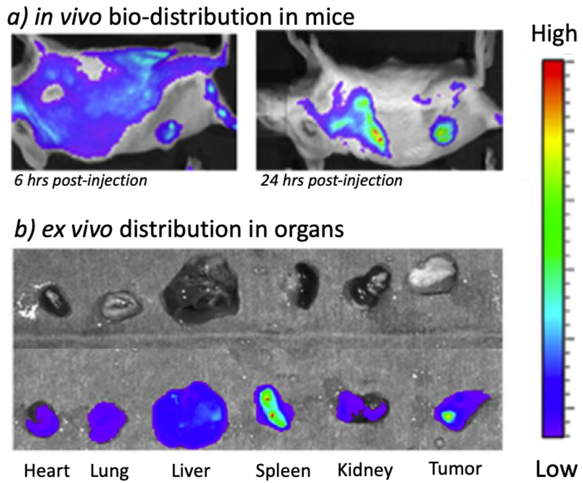 Cancers 15 04944 g016