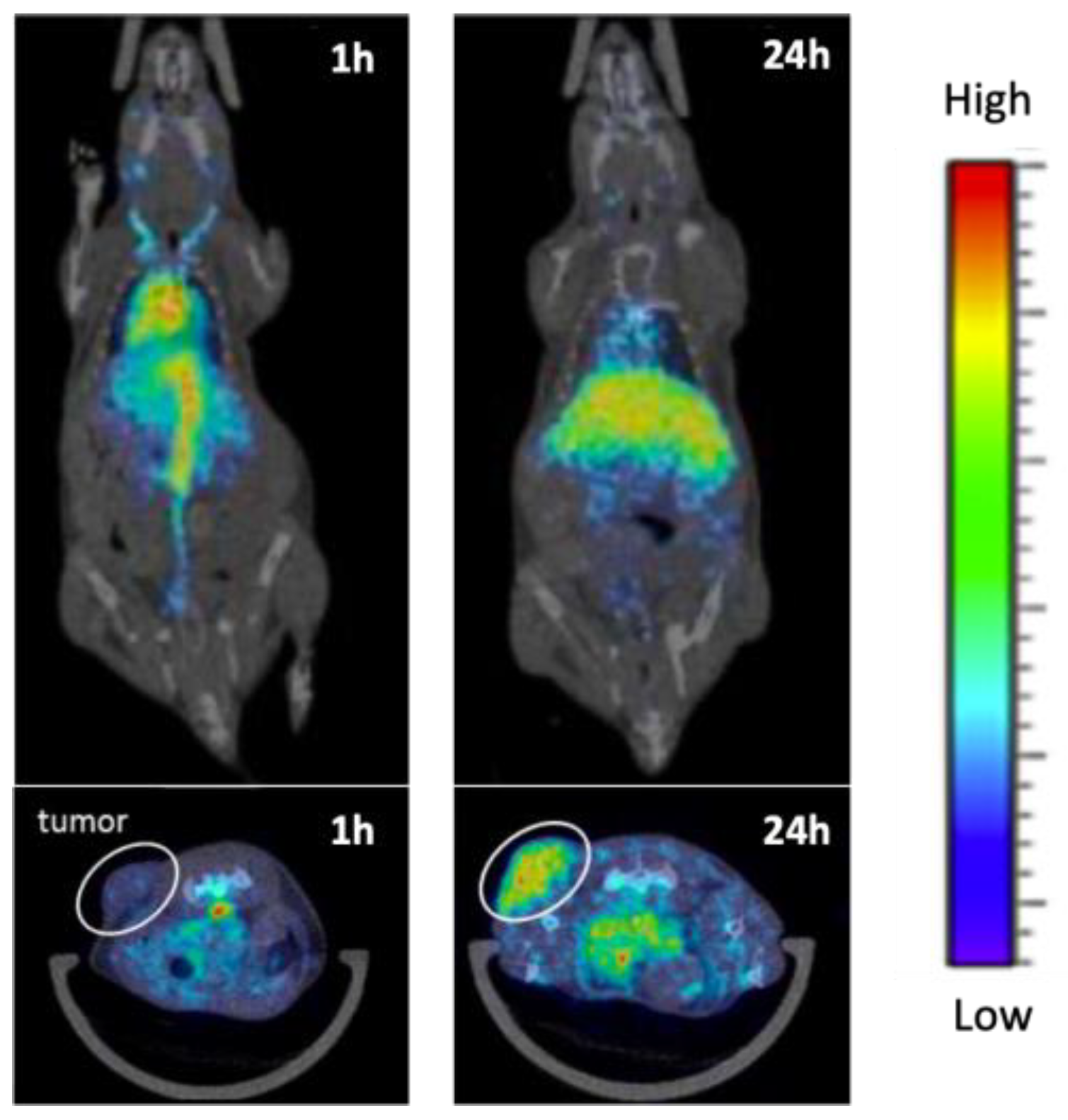 Cancers 15 04944 g017