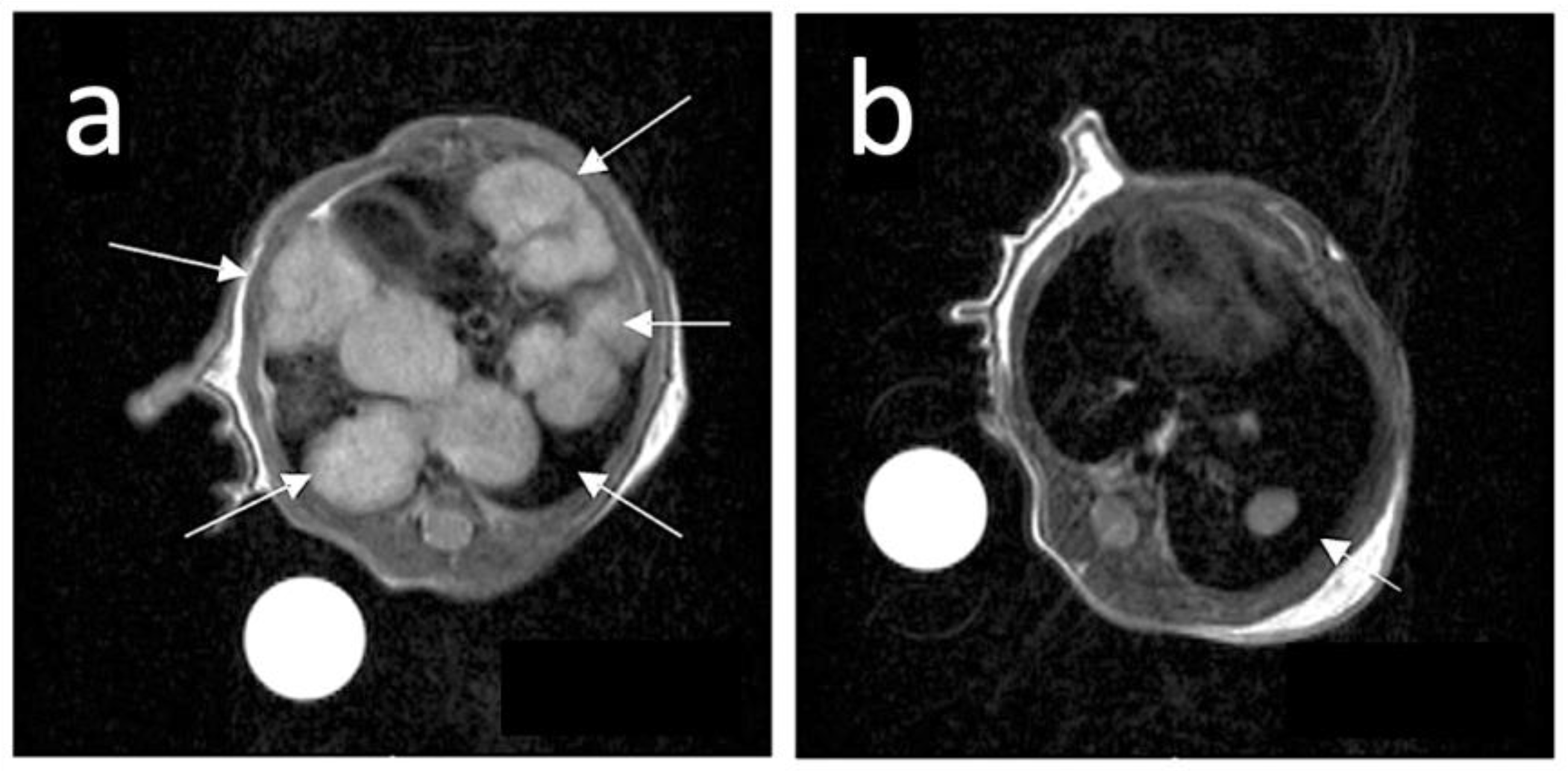 Cancers 15 04944 g018