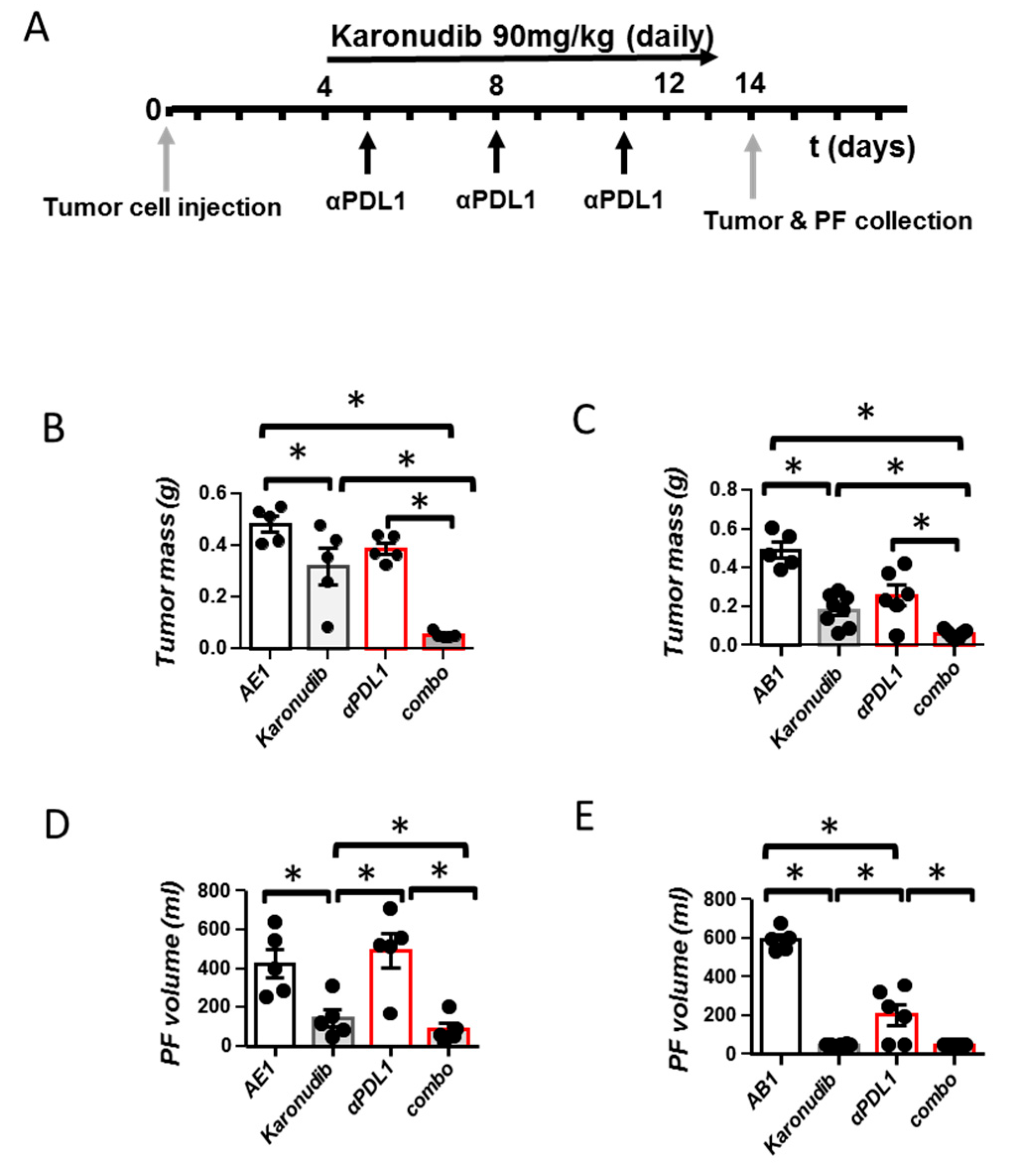 Cancers 15 04962 g002