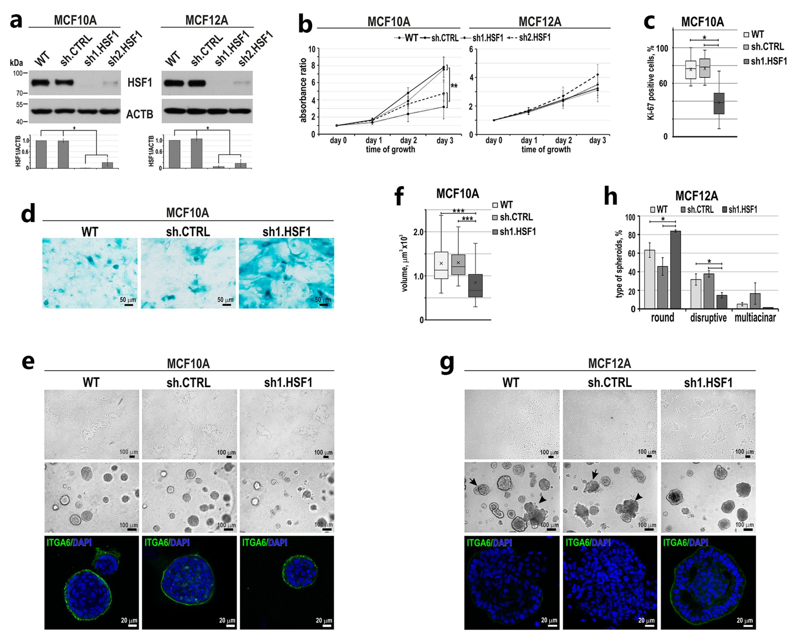 Cancers 15 04965 g002