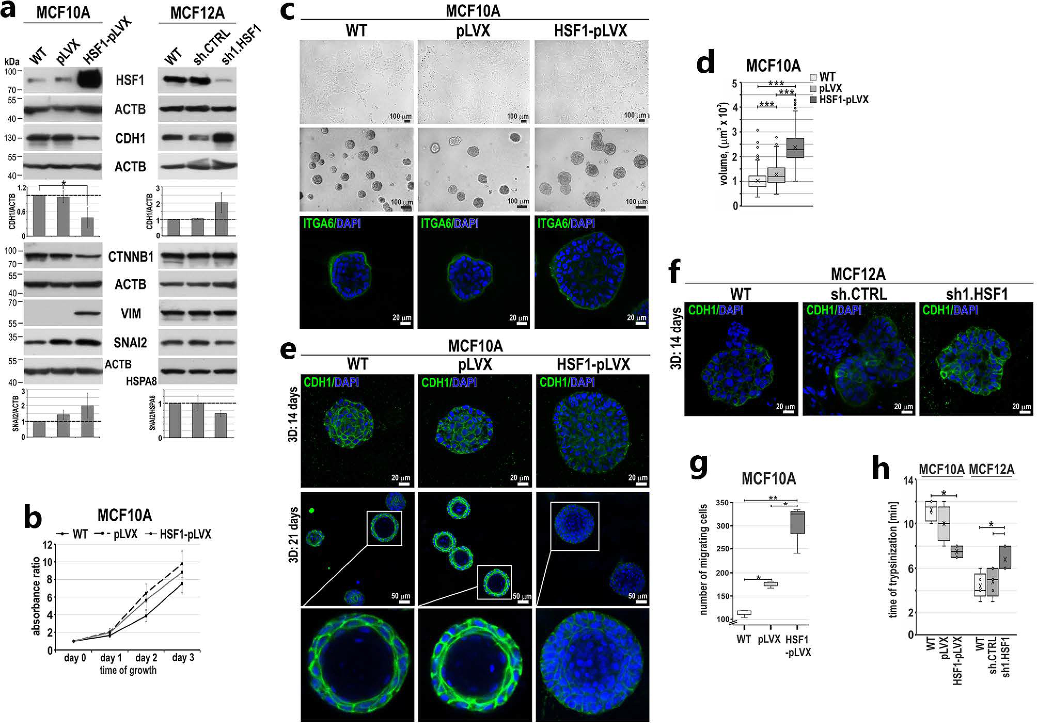 Cancers 15 04965 g003