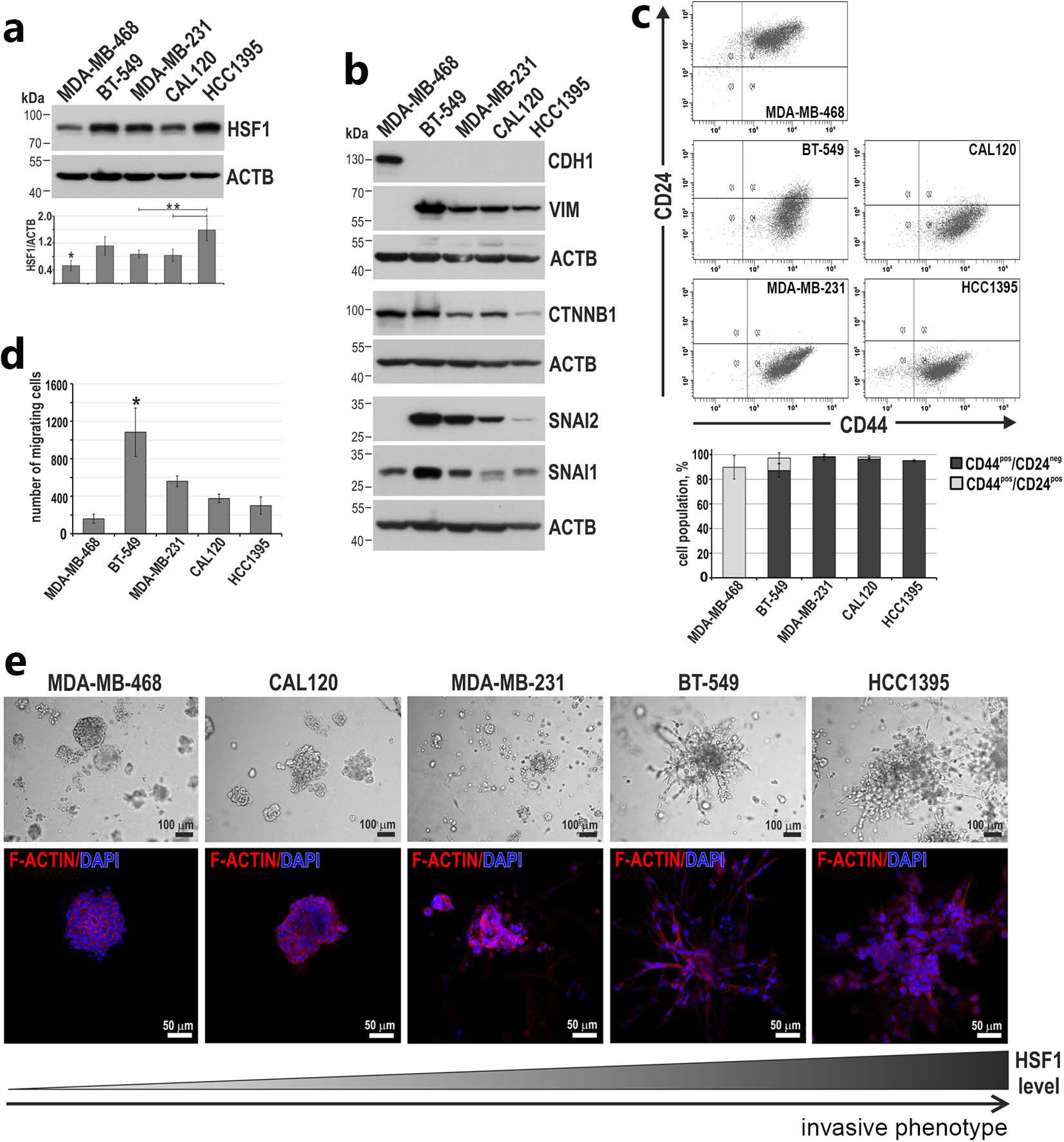 Cancers 15 04965 g005
